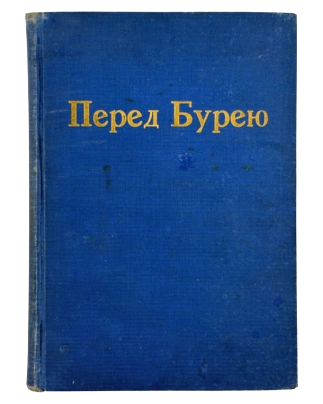 Будзиновський В'ячеслав. Перед бурею: історичне оповідання. Піттсбург, 1930 — обкладинка
