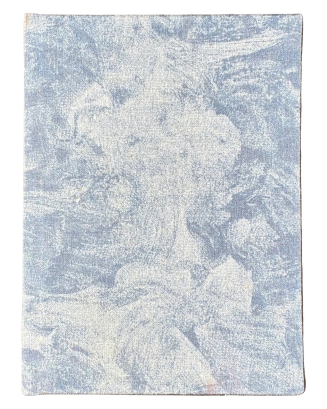 Новаковський М. Пасічництво. Львів, 1909 — обкладинка