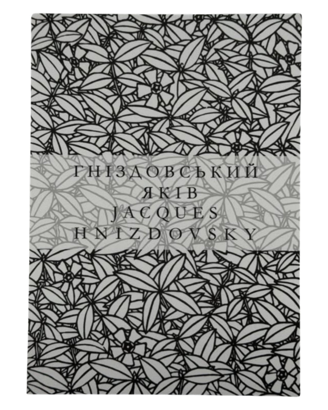 Гніздовський Яків: виставка творів до 100-річчя: каталог. Львів [та ін.], 2015 — обкладинка