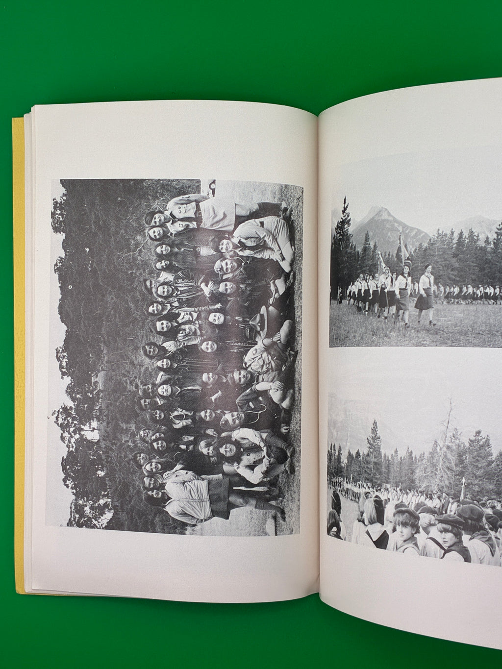Іскри дружби. — 50-річчя Пласту, 1972