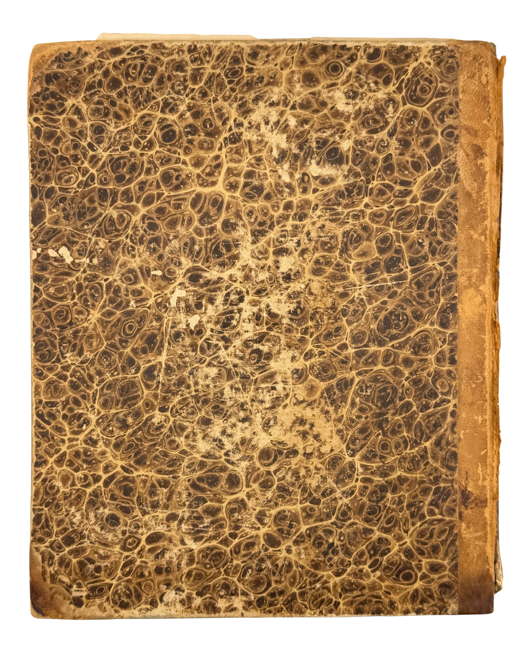 FORTSETZUNG DER ALGEMEINEN WELTHISTORIE DER NEUERN ZEITEN… Funfzehnter und Sechszehnter Theil. Mit einer Vorrede von J. C. Gatterer. Halle: bey Johann Justinus Gebauer, 1770.