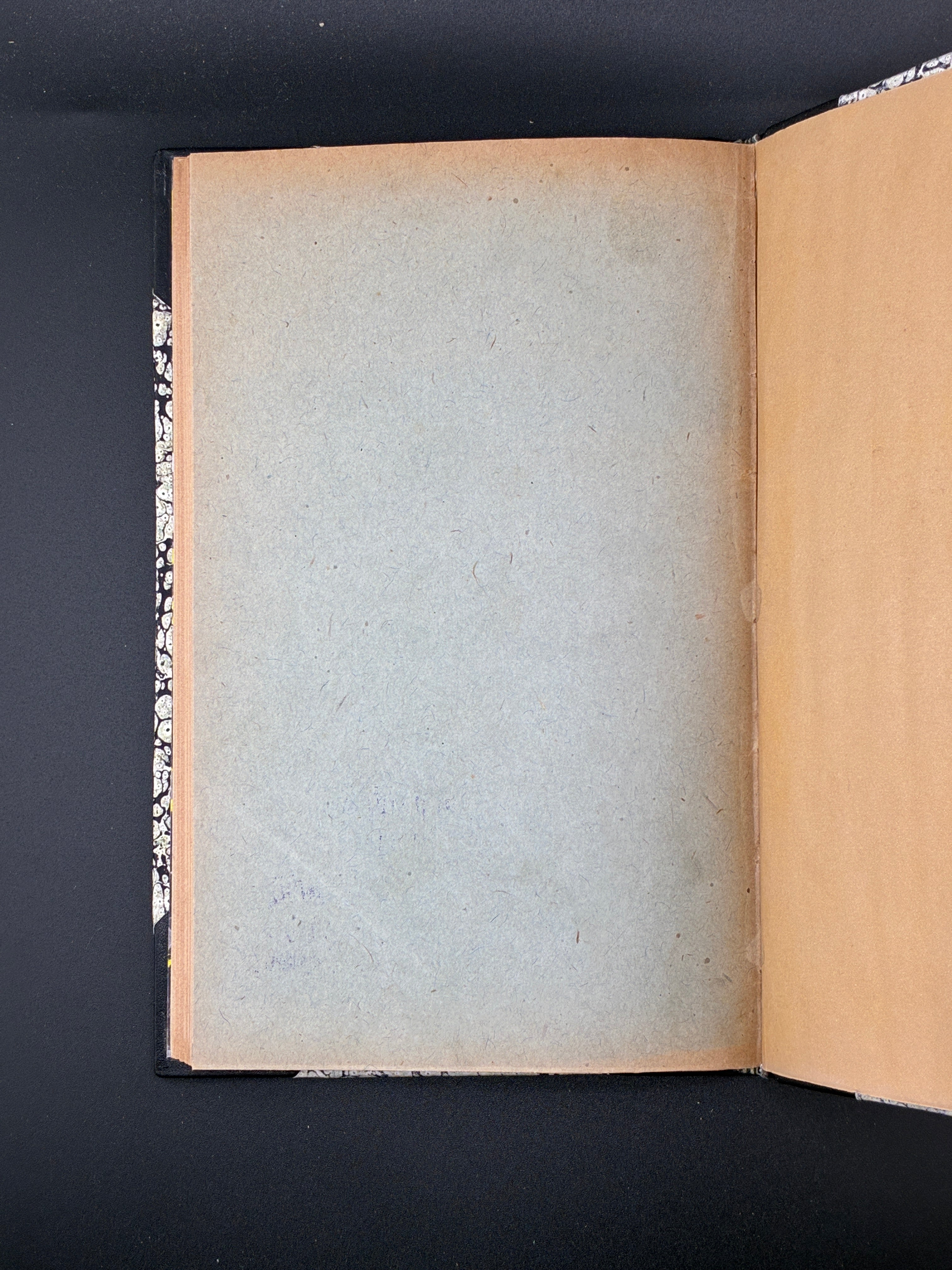 Руска справа в роках 1891–1894. НТШ, 1895