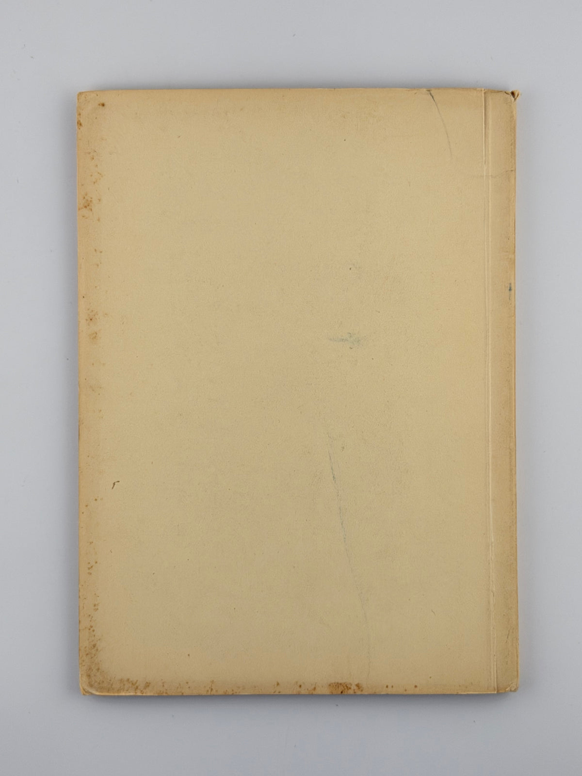 Вовк Віра. Зоря провідна. Мюнхен, 1955