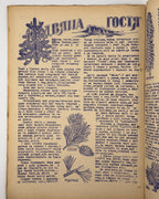 Пластун — Scout: часопис українських пластунів. Ч. 2. Авґсбурґ, січень 1946