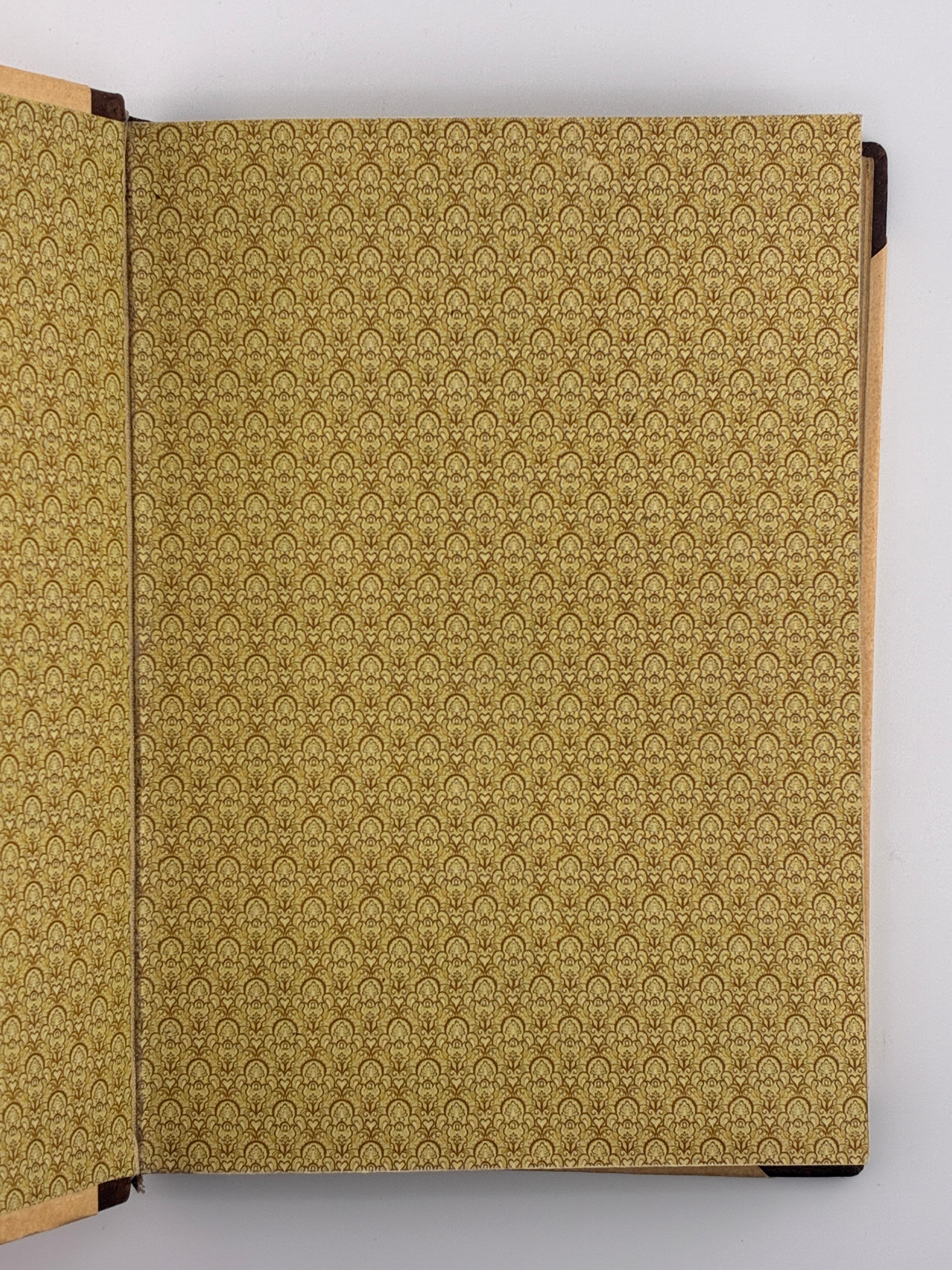 Тигролови. Іван Багряний. 1946–1947