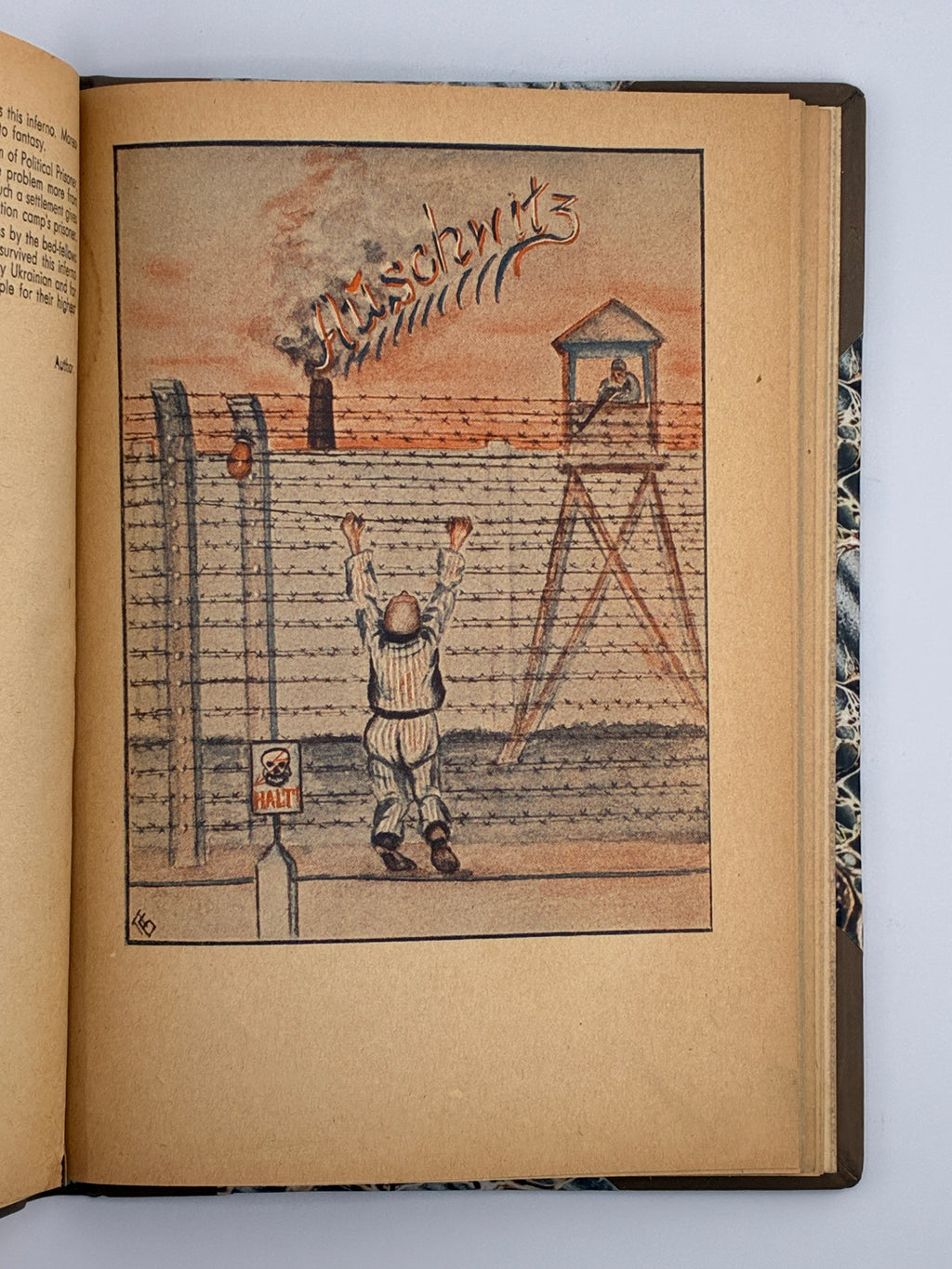 ОСИНКА ПАЛАДІЙ. АЛЬБУМ ПОЛІТВ’ЯЗНЯ [АУШВІЦ]. 1946