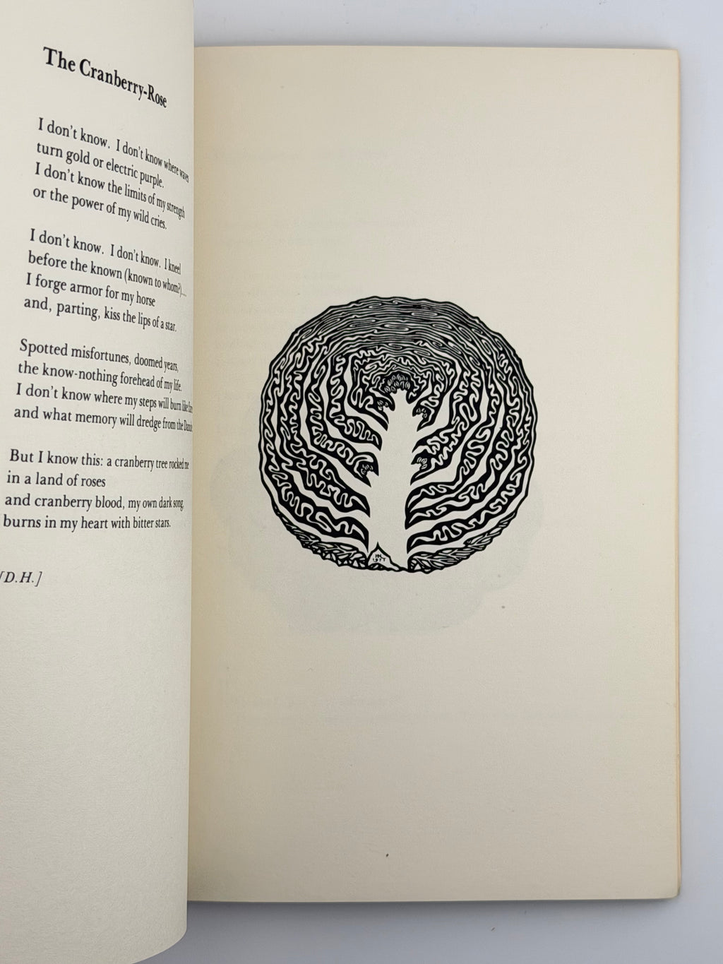 ORCHARD LAMPS. 1978
ДРАЧ ІВАН