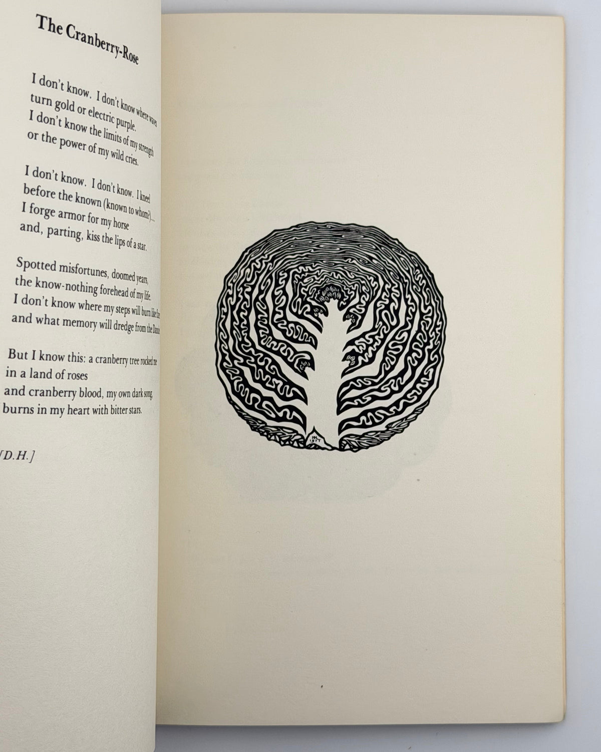 Драч Іван. Orchard Lamps. Нью-Йорк, 1978