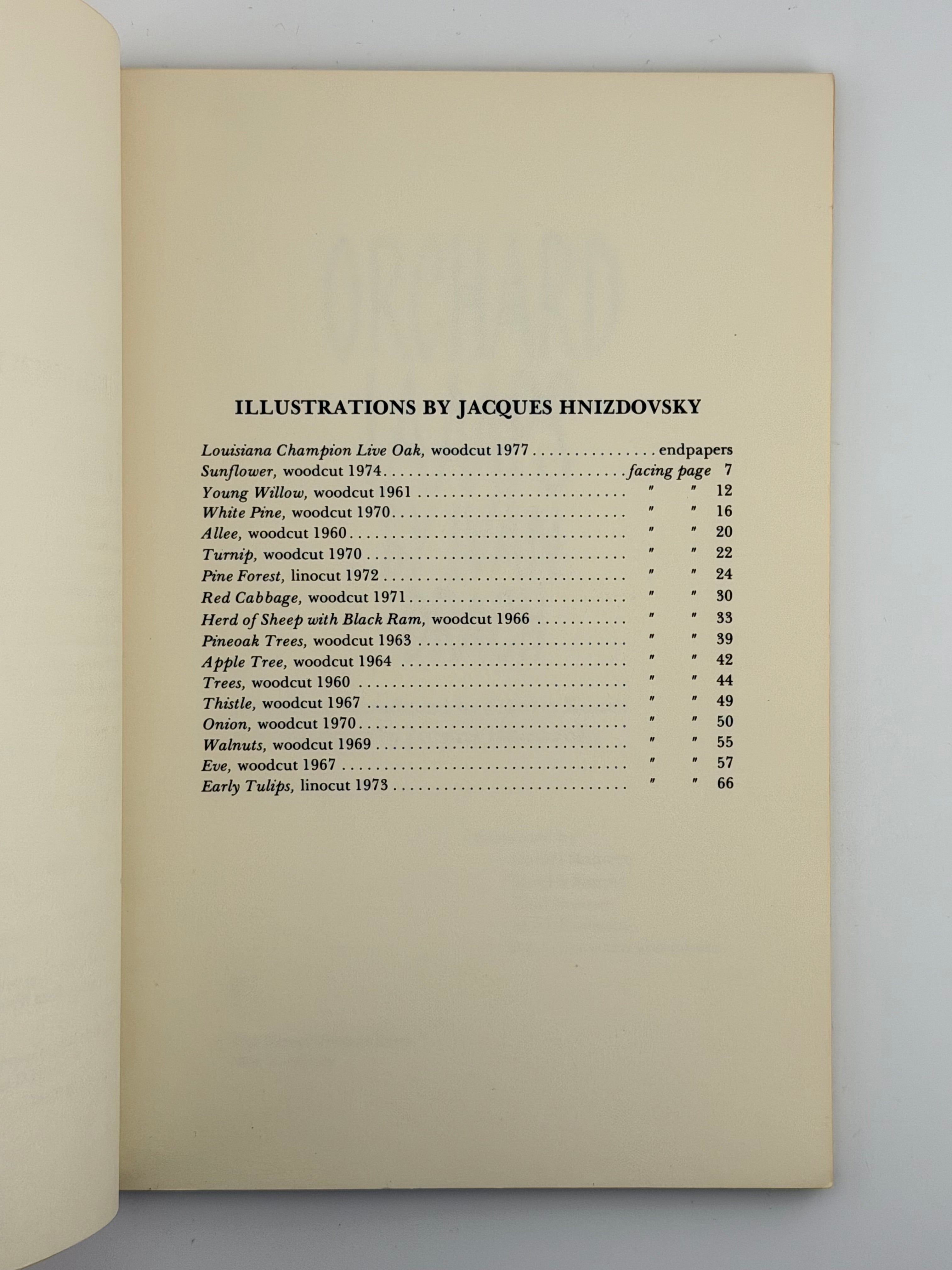 ORCHARD LAMPS. 1978
ДРАЧ ІВАН