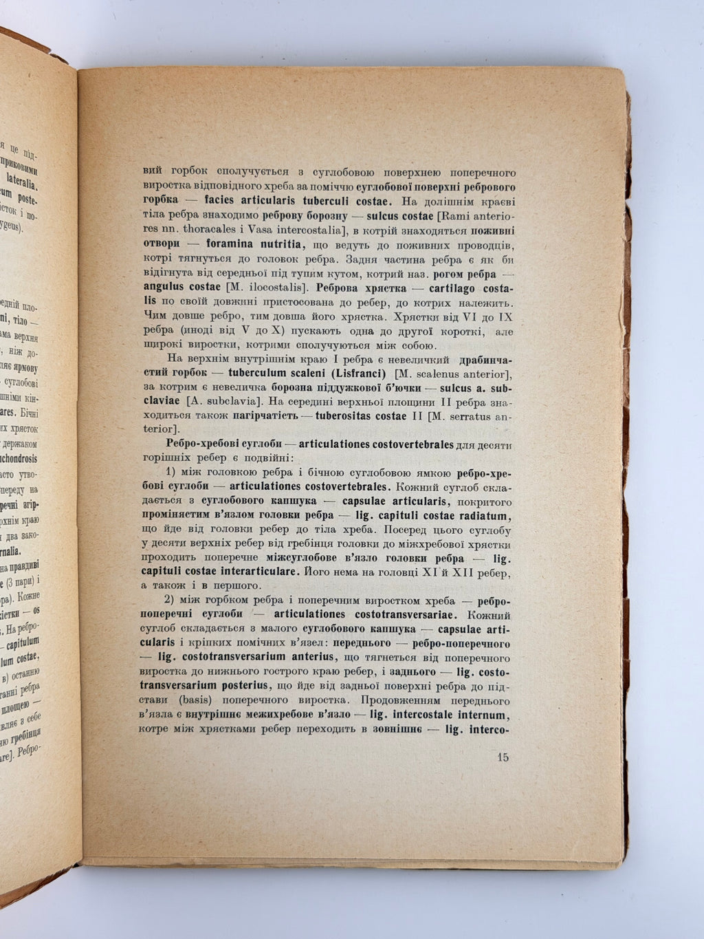 Павлічук М. Коротка анатомія: для студентів медицини. Ч. 1. Прага, 1925
