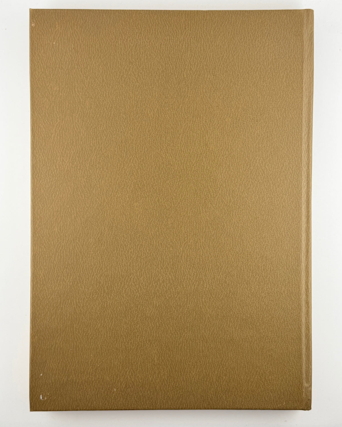 Повість минулих літ: літопис. Київ, 1982