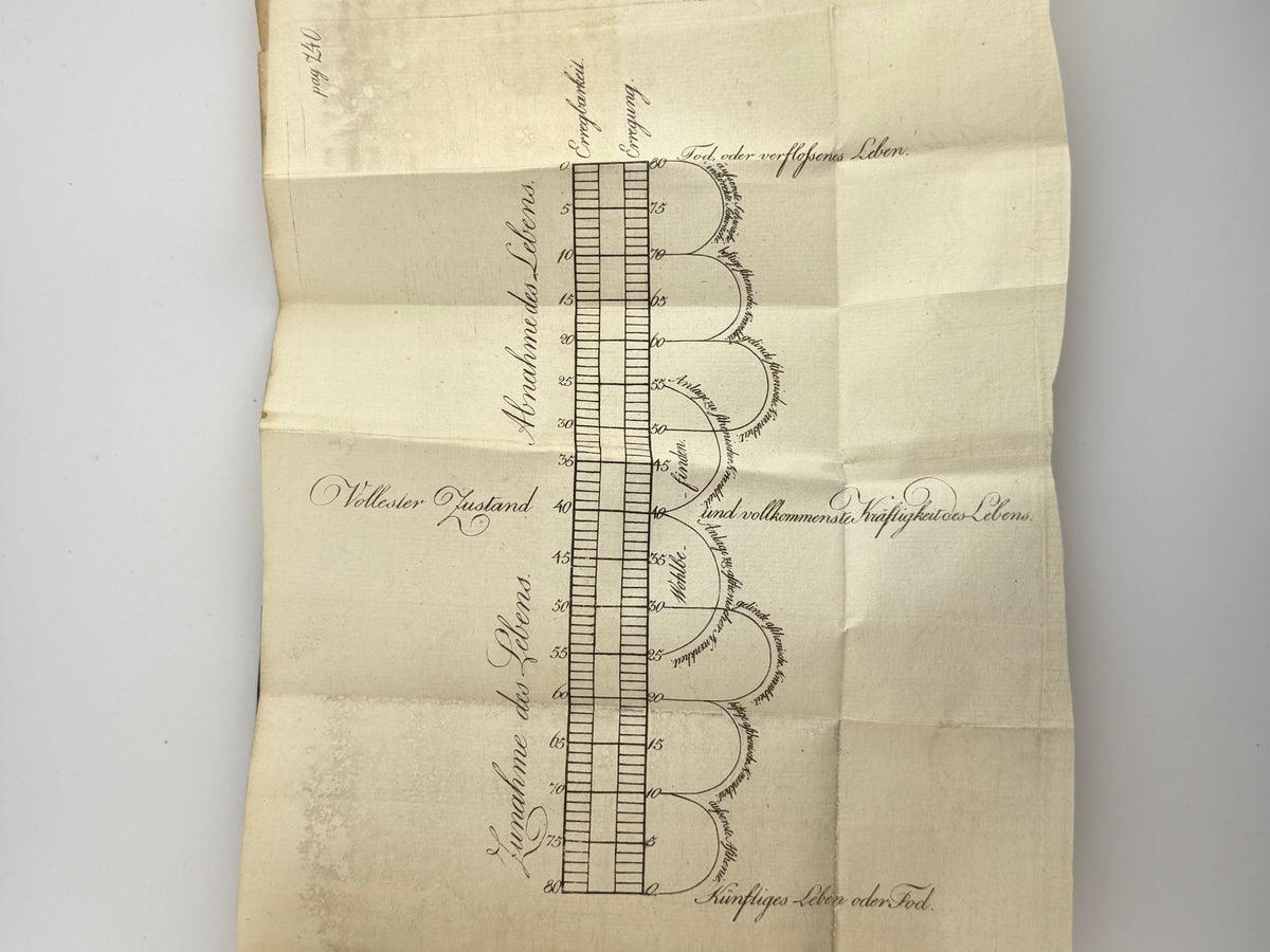 Brown John. Bemerkungen über die ältern Systeme der Medizin. Франкфурт-на-Майні, 1807