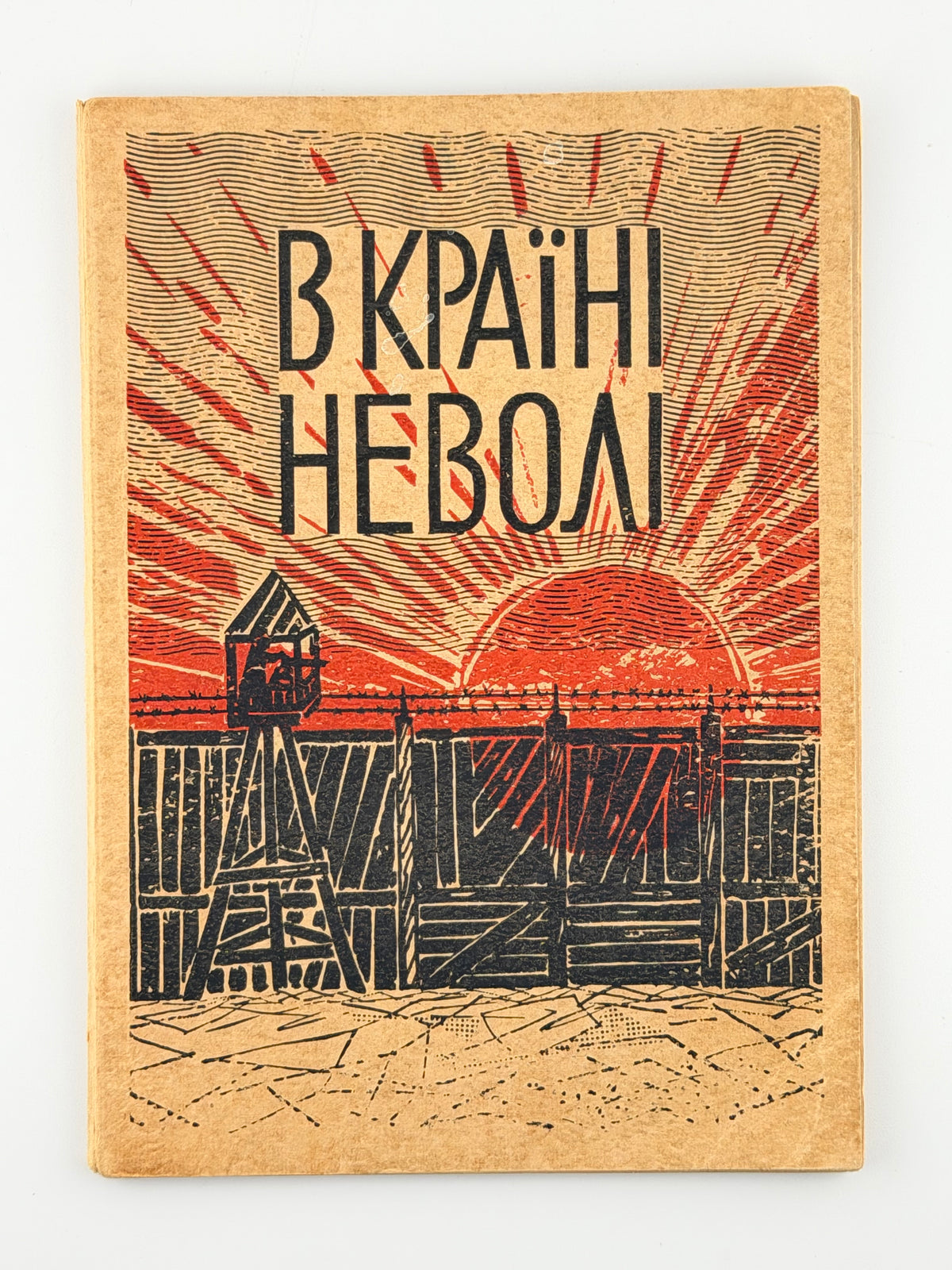 Княжинський Антін. В країні неволі: спогади. Мюнхен, 1957