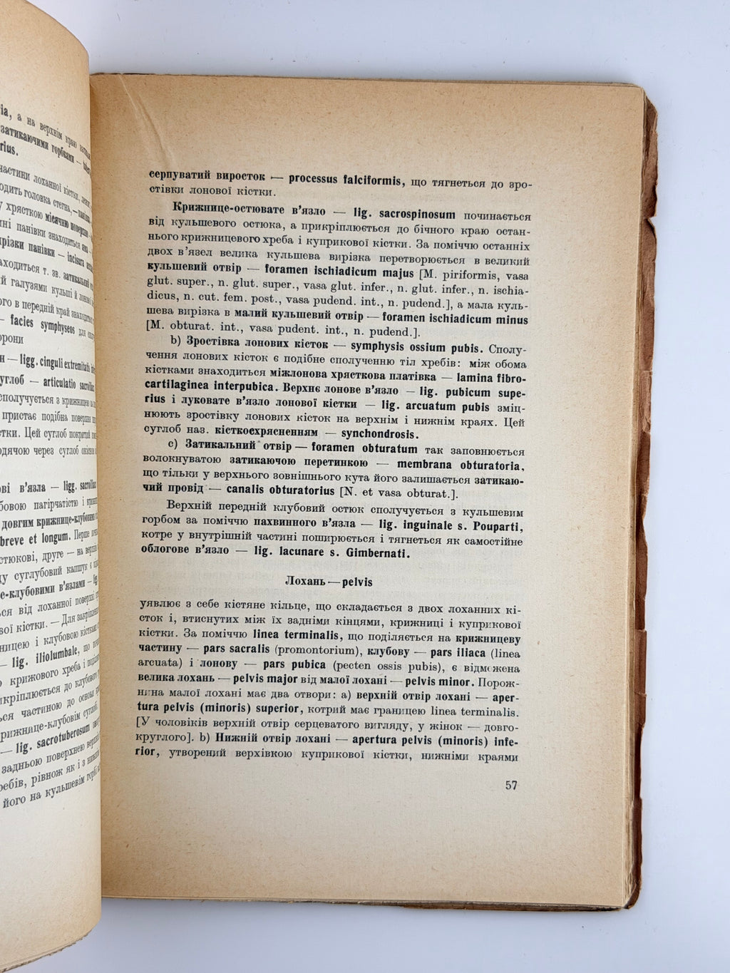 Павлічук М. Коротка анатомія: для студентів медицини. Ч. 1. Прага, 1925