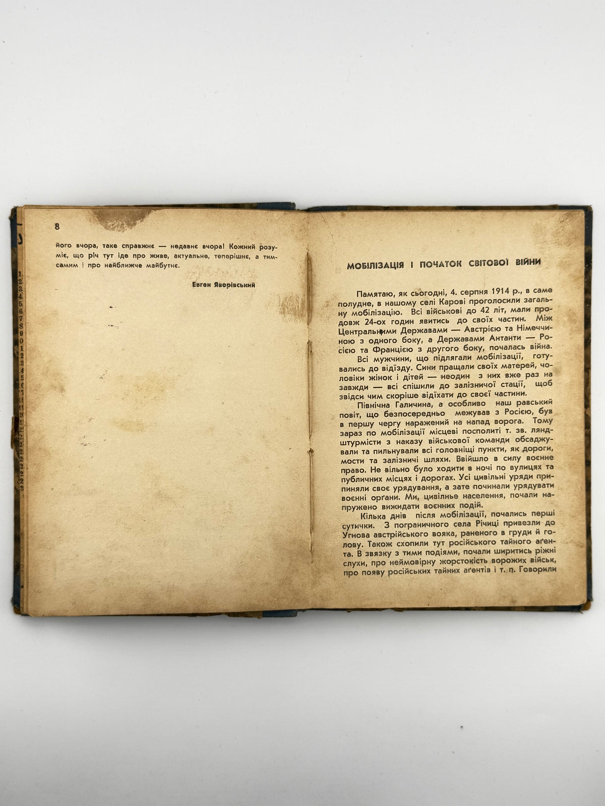 Іванина Нестор. Залізні роки: спомини 1914–1922. Львів, 1937