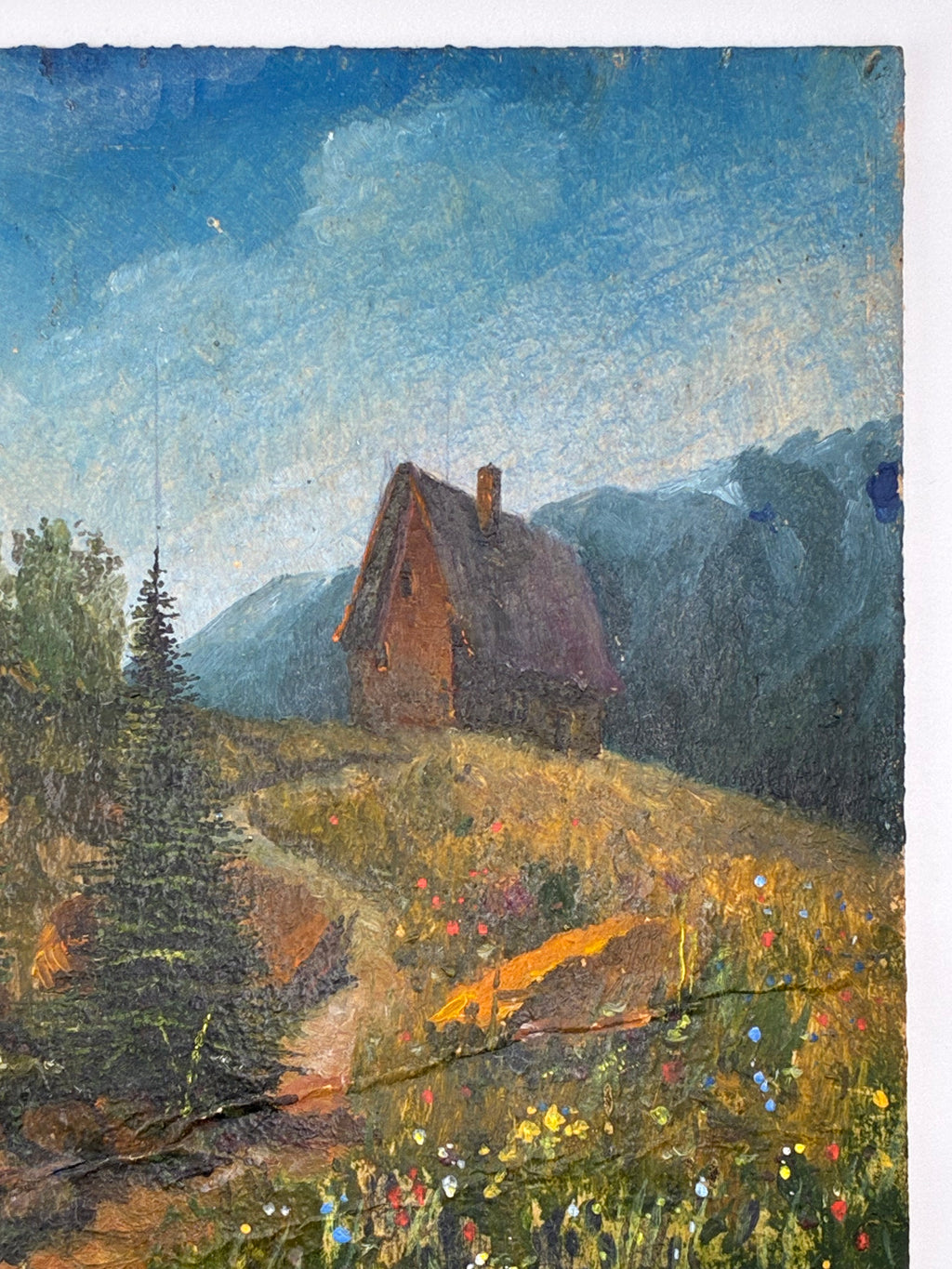 🎨 БУДИНОК У ГОРАХ