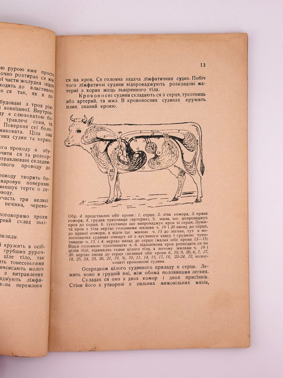 Раковський Йосиф. Головні основи годівлї домашних зьвірят. Ч. 1: Часть загальна. Львів, 1911