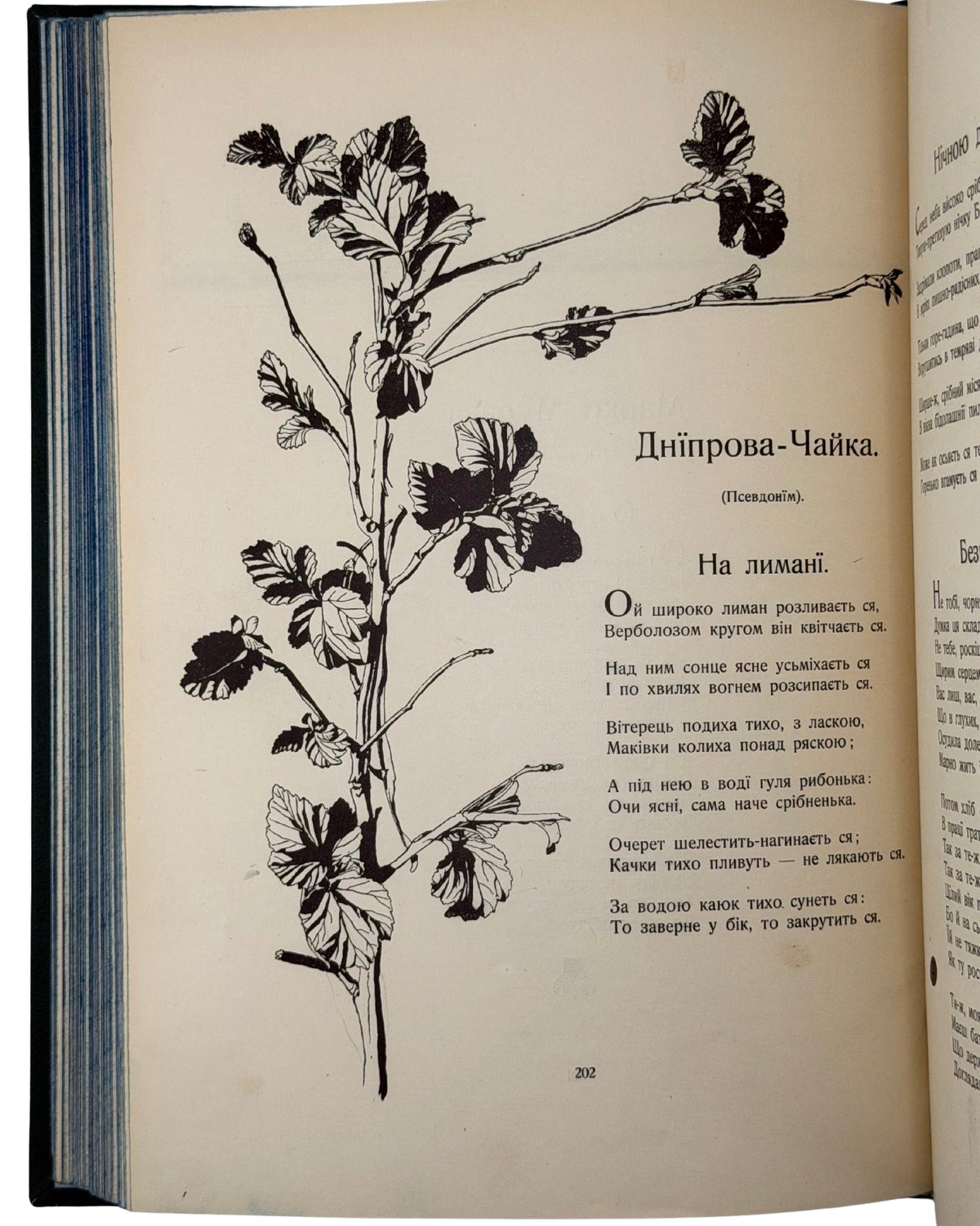 Франко Іван (упоряд.). Акорди: антологія української лірики. Львів, 1903