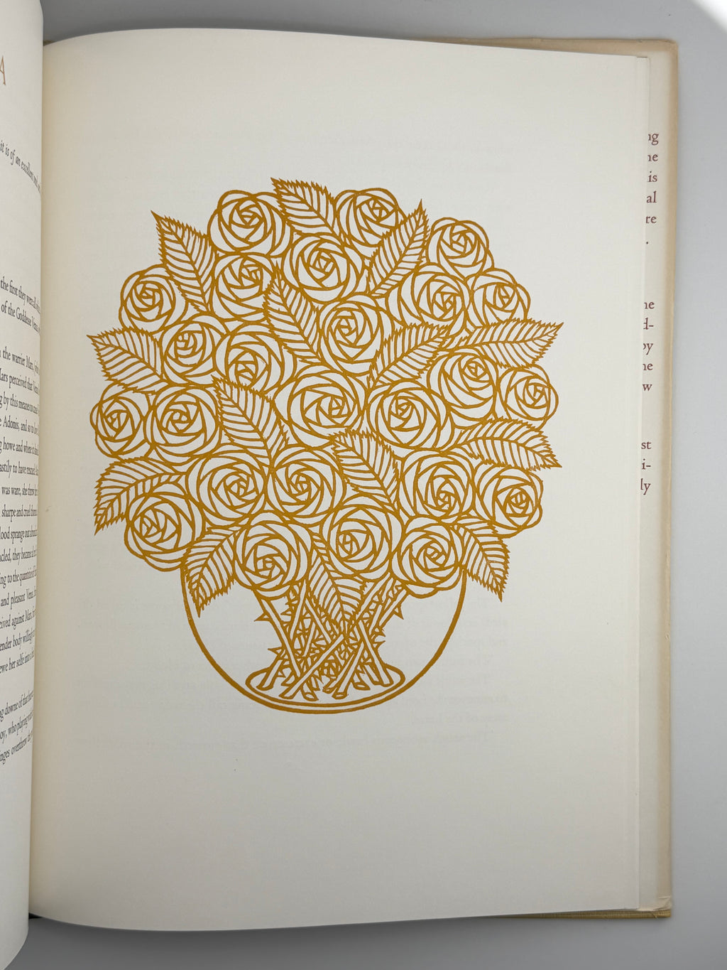 FLORA EXOTICA: A COLLECTION OF FLOWERING PLANTS. 1972
DEWOLF GORDON, HNIZDOVSKY JACQUES Бостон: David R. Godine. — 64 с.