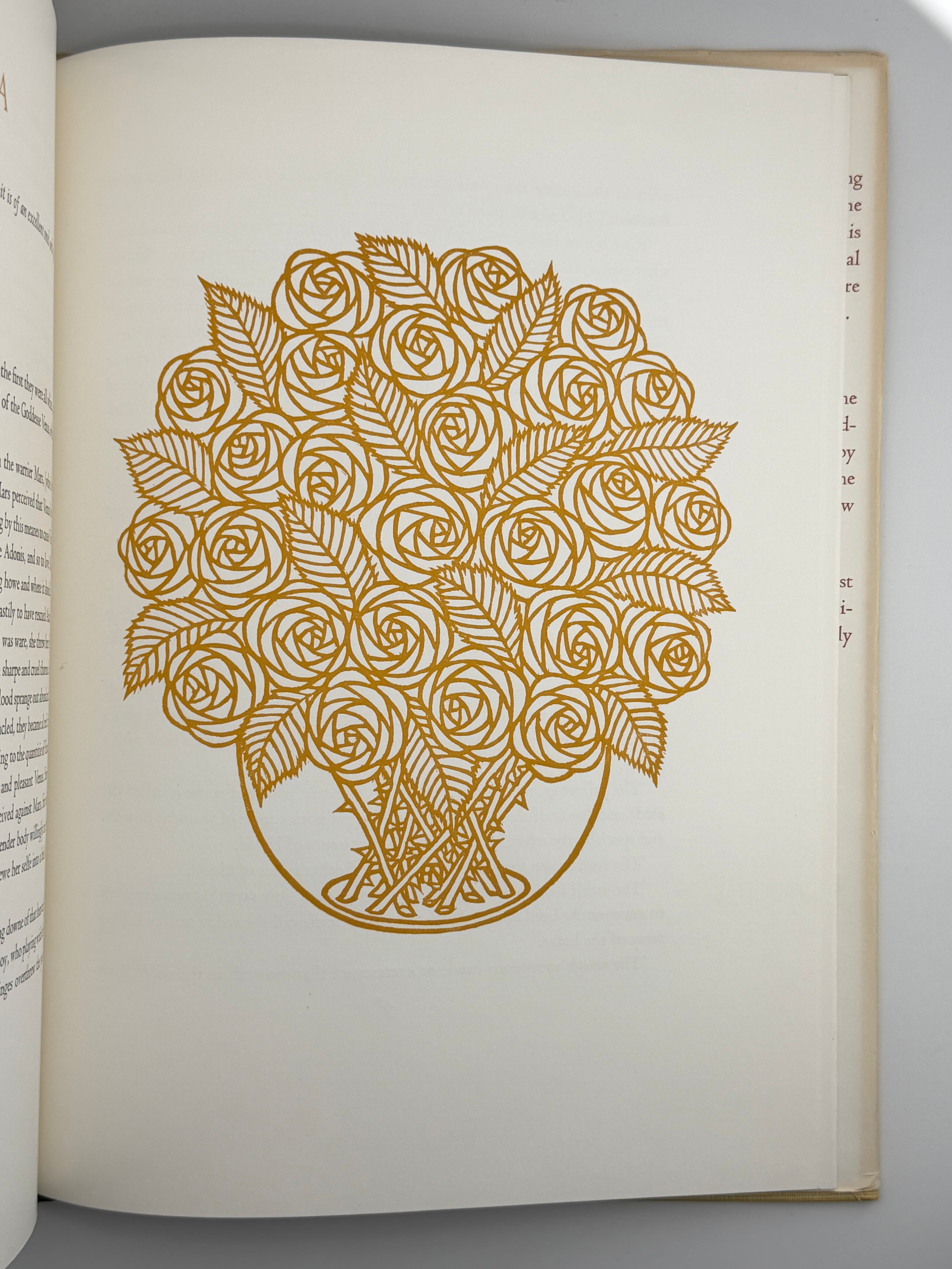 FLORA EXOTICA: A COLLECTION OF FLOWERING PLANTS. 1972
DEWOLF GORDON, HNIZDOVSKY JACQUES Бостон: David R. Godine. — 64 с.