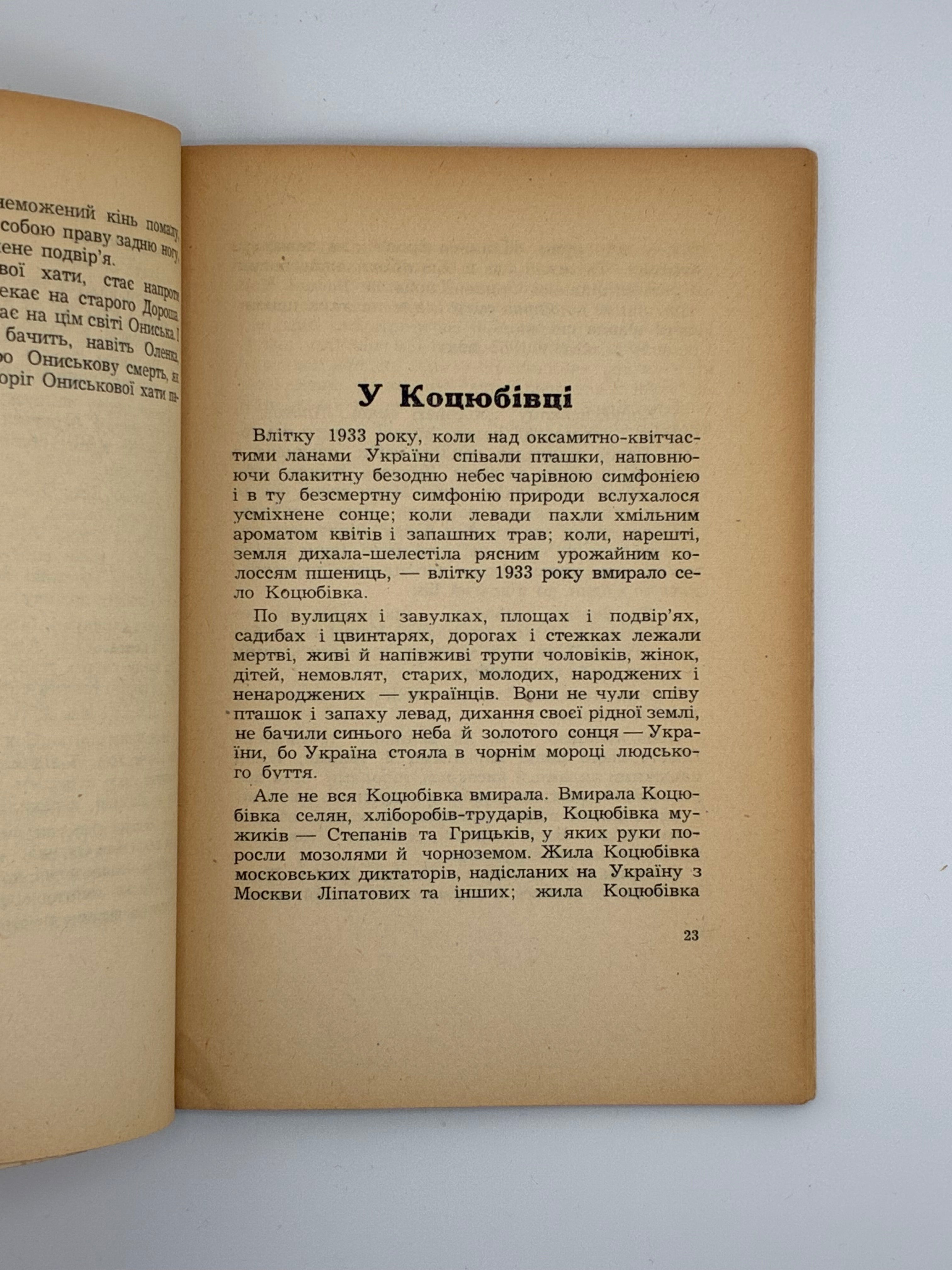 📕 ПЕТРО КІЗКО. НА СКРИВАВЛЕНІЙ ЗЕМЛІ. Новелі.
📍 Мюнхен: Українська Видавнича Спілка, 1952.