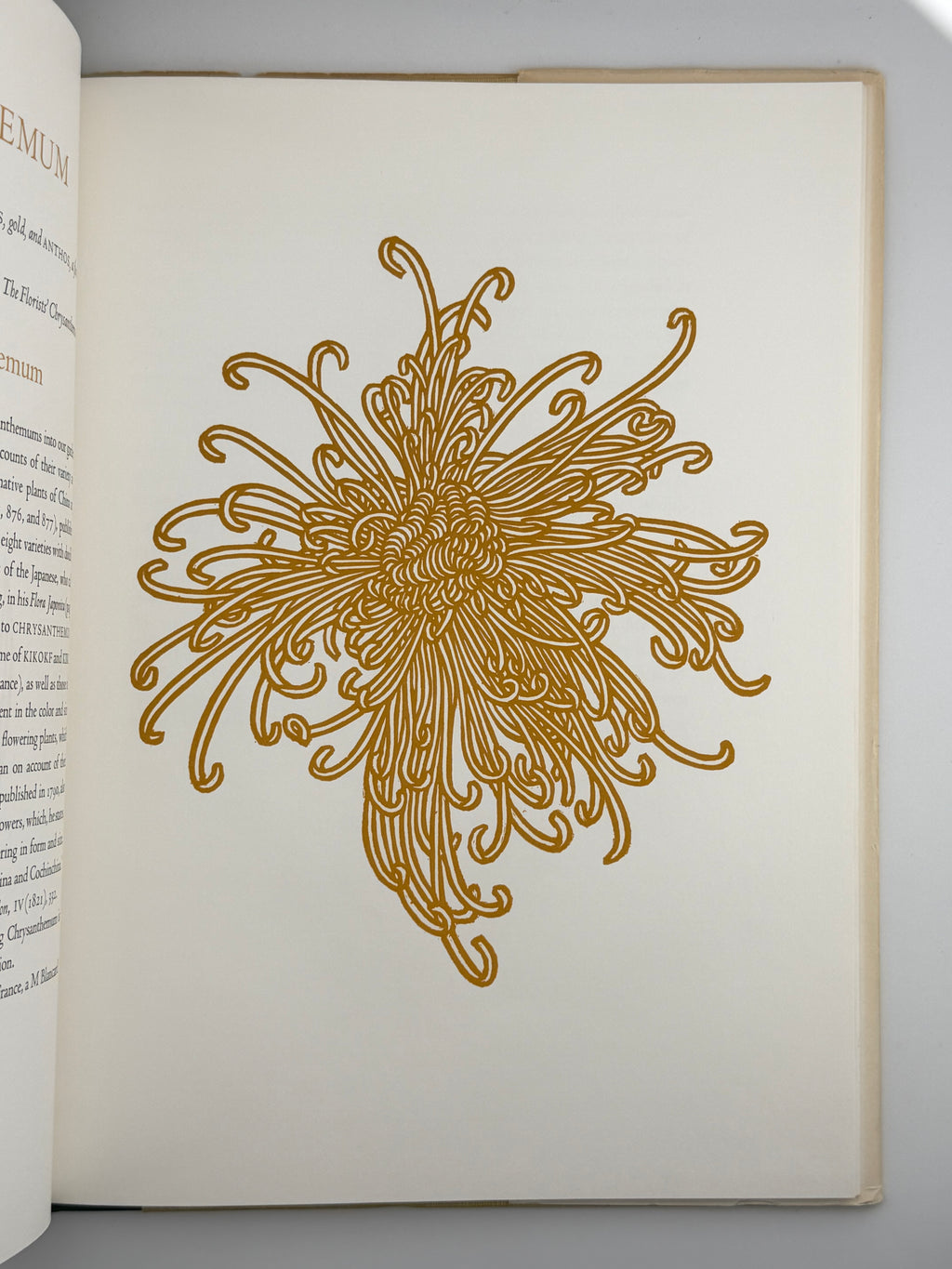 FLORA EXOTICA: A COLLECTION OF FLOWERING PLANTS. 1972
DEWOLF GORDON, HNIZDOVSKY JACQUES Бостон: David R. Godine. — 64 с.