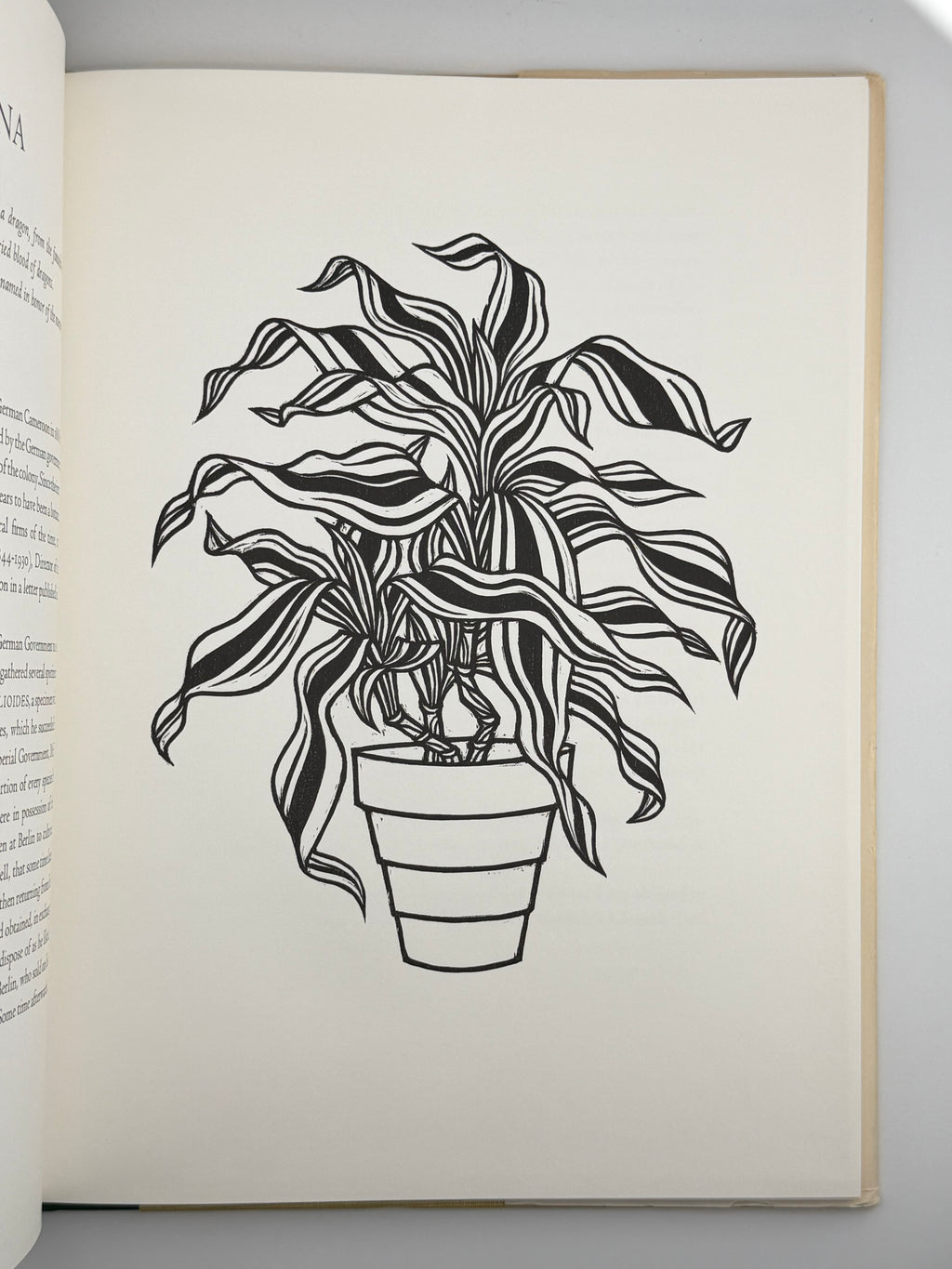 FLORA EXOTICA: A COLLECTION OF FLOWERING PLANTS. 1972
DEWOLF GORDON, HNIZDOVSKY JACQUES Бостон: David R. Godine. — 64 с.