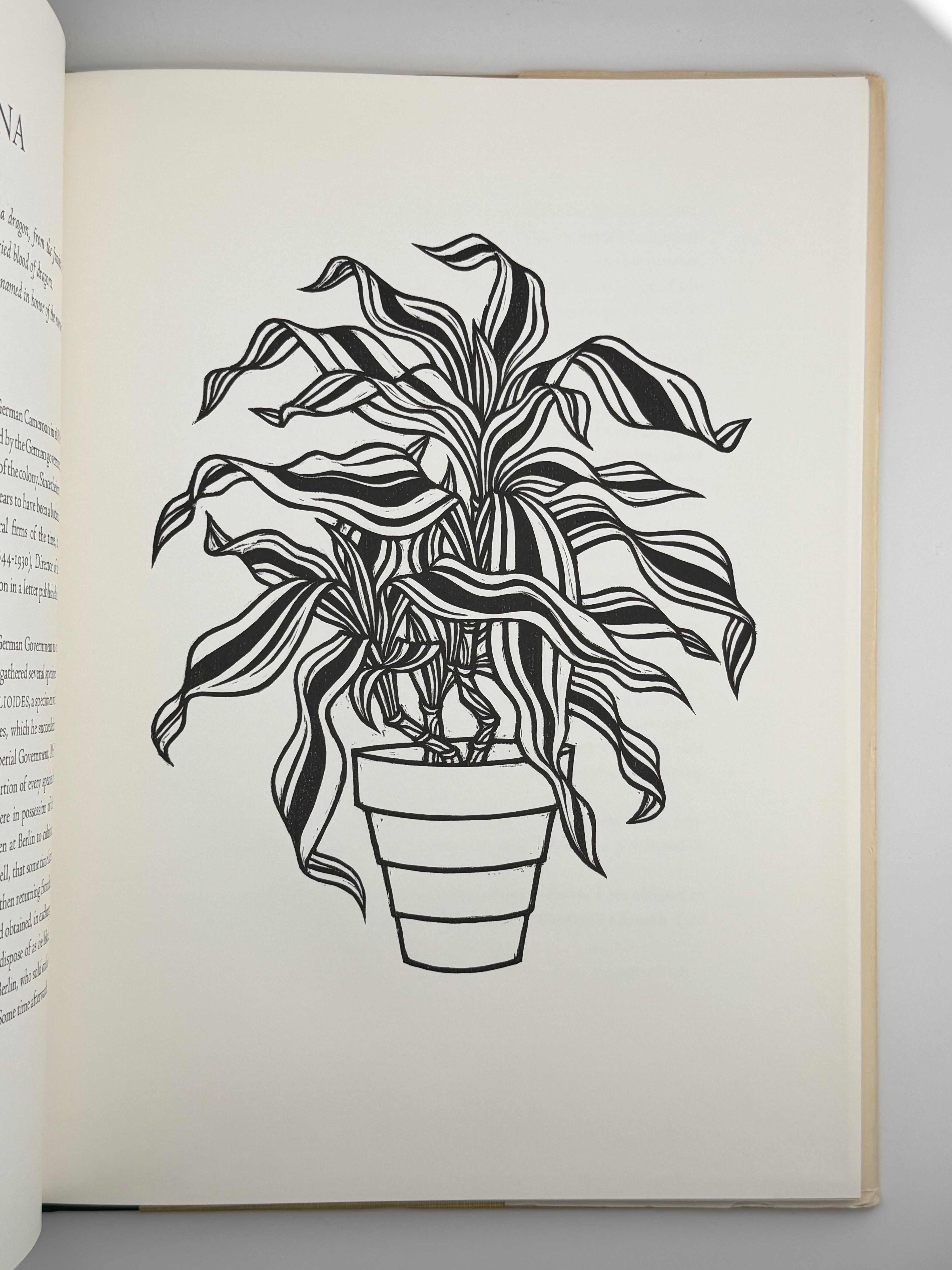 FLORA EXOTICA: A COLLECTION OF FLOWERING PLANTS. 1972
DEWOLF GORDON, HNIZDOVSKY JACQUES Бостон: David R. Godine. — 64 с.