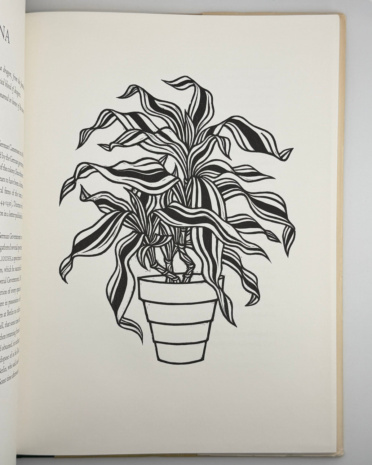 ДеВольф Гордон, Гніздовський Яків. Flora Exotica: a Collection of Flowering Plants. Бостон, 1972