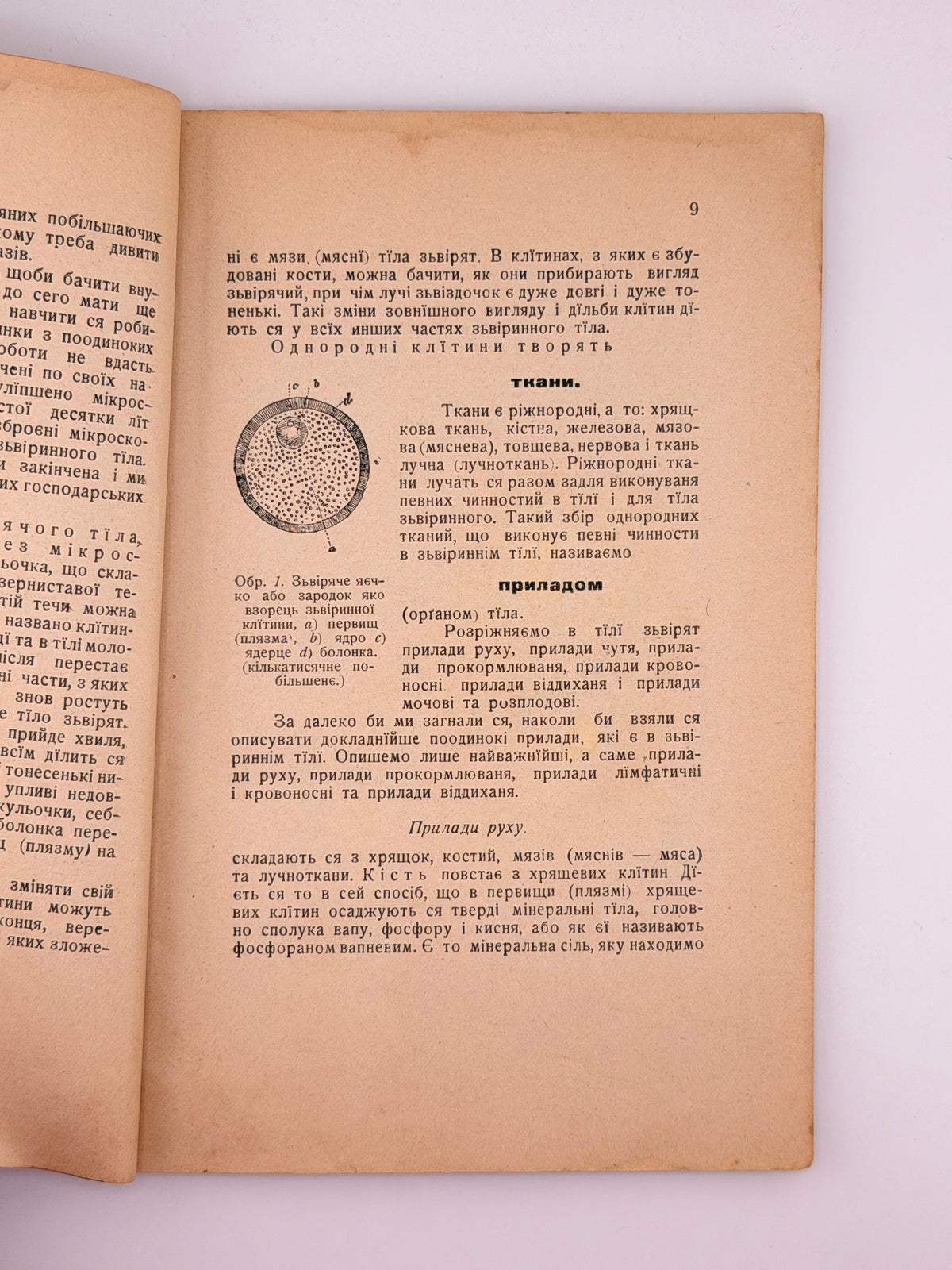 Раковський Йосиф. Головні основи годівлї домашних зьвірят. Ч. 1: Часть загальна. Львів, 1911