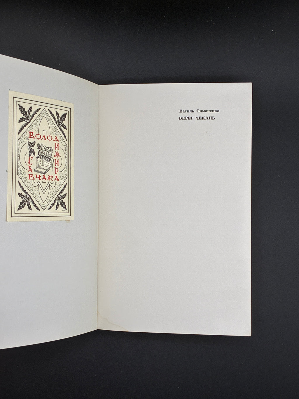 Василь Симоненко. Берег Чекань. Сучасність, 1973