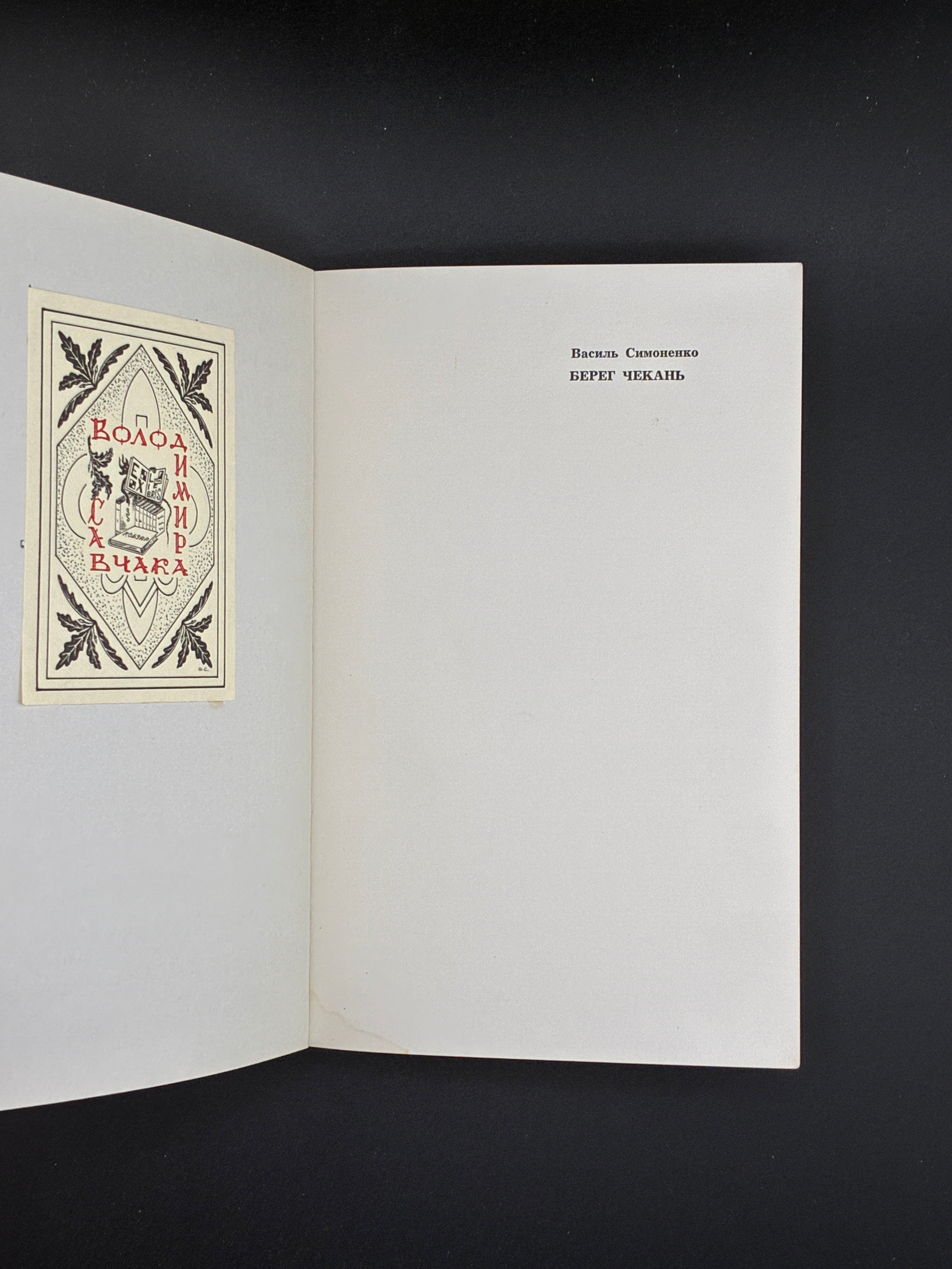 Василь Симоненко. Берег Чекань. Сучасність, 1973