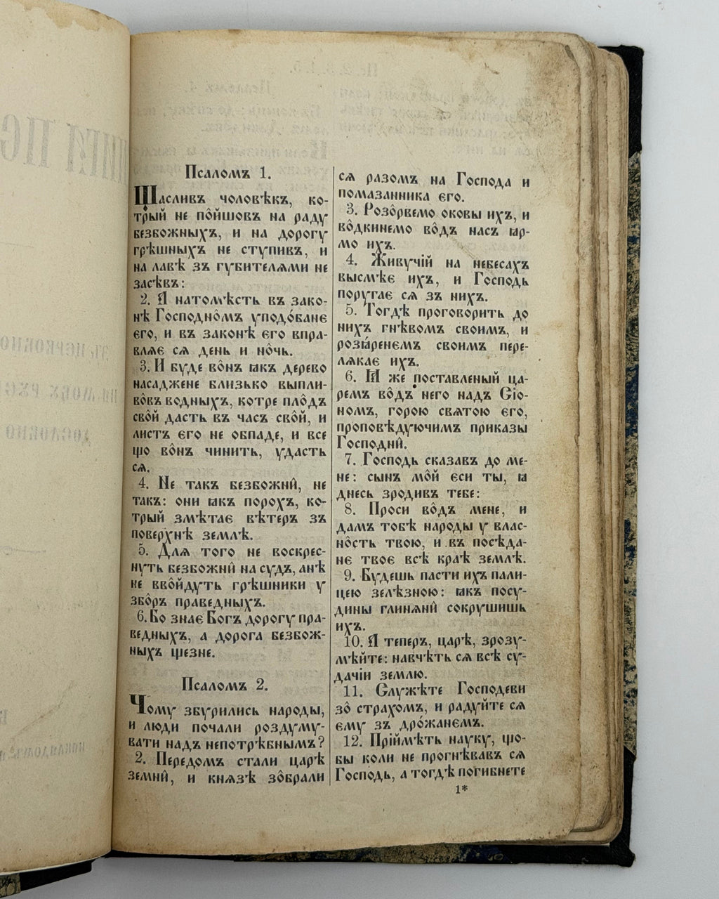 Книга псальмів: з церковно-словеньскої на мову руско-україньску дословно переложена. Відень, 1900