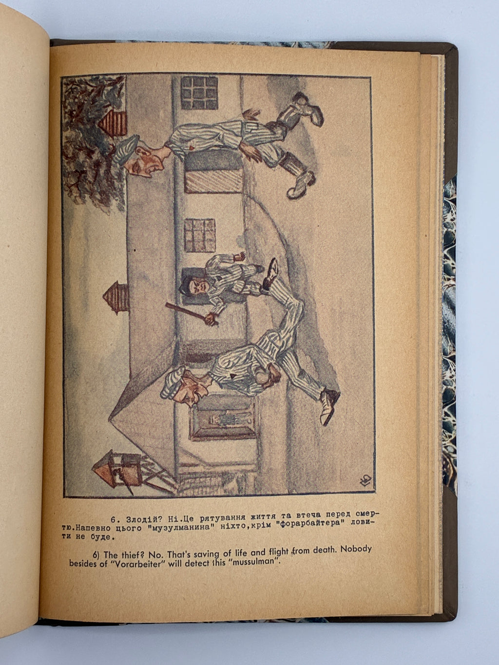 ОСИНКА ПАЛАДІЙ. АЛЬБУМ ПОЛІТВ’ЯЗНЯ [АУШВІЦ]. 1946
