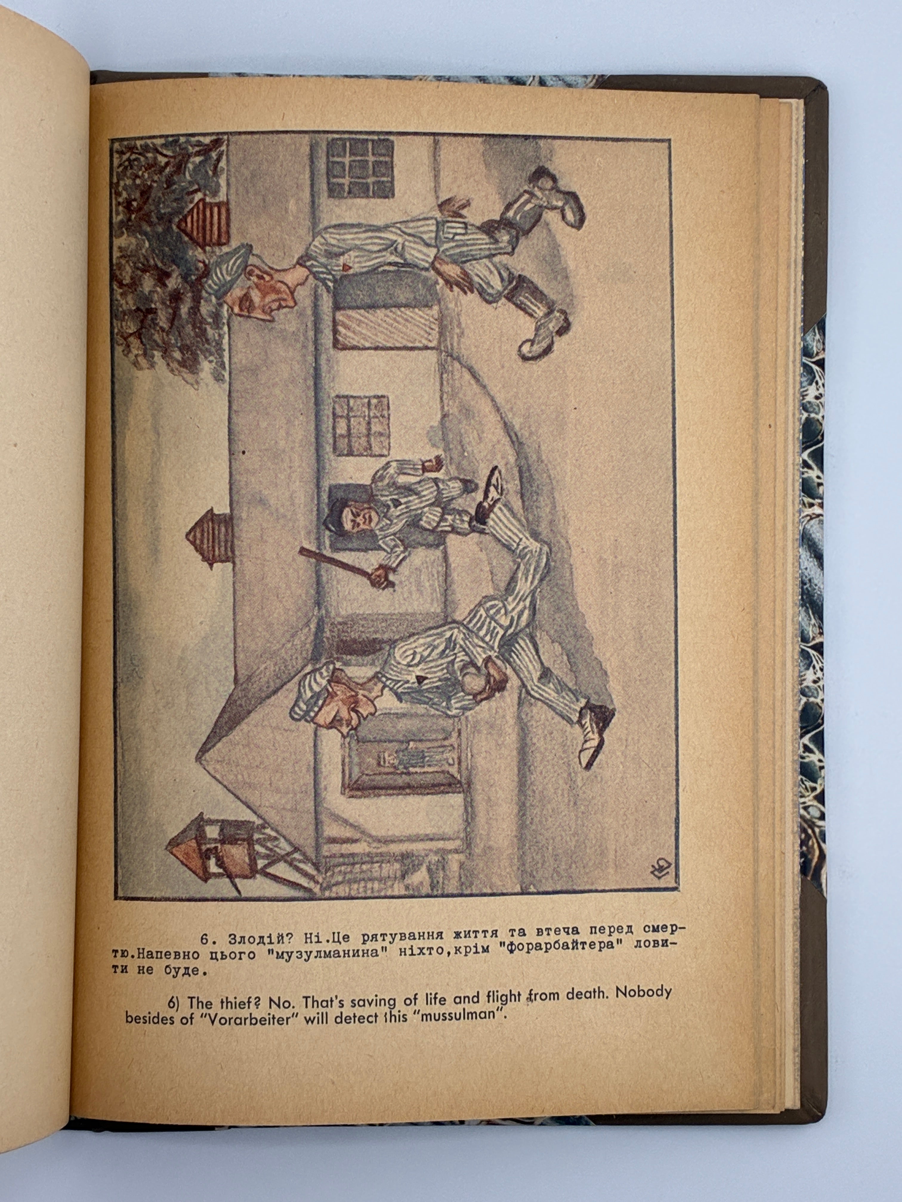 ОСИНКА ПАЛАДІЙ. АЛЬБУМ ПОЛІТВ’ЯЗНЯ [АУШВІЦ]. 1946