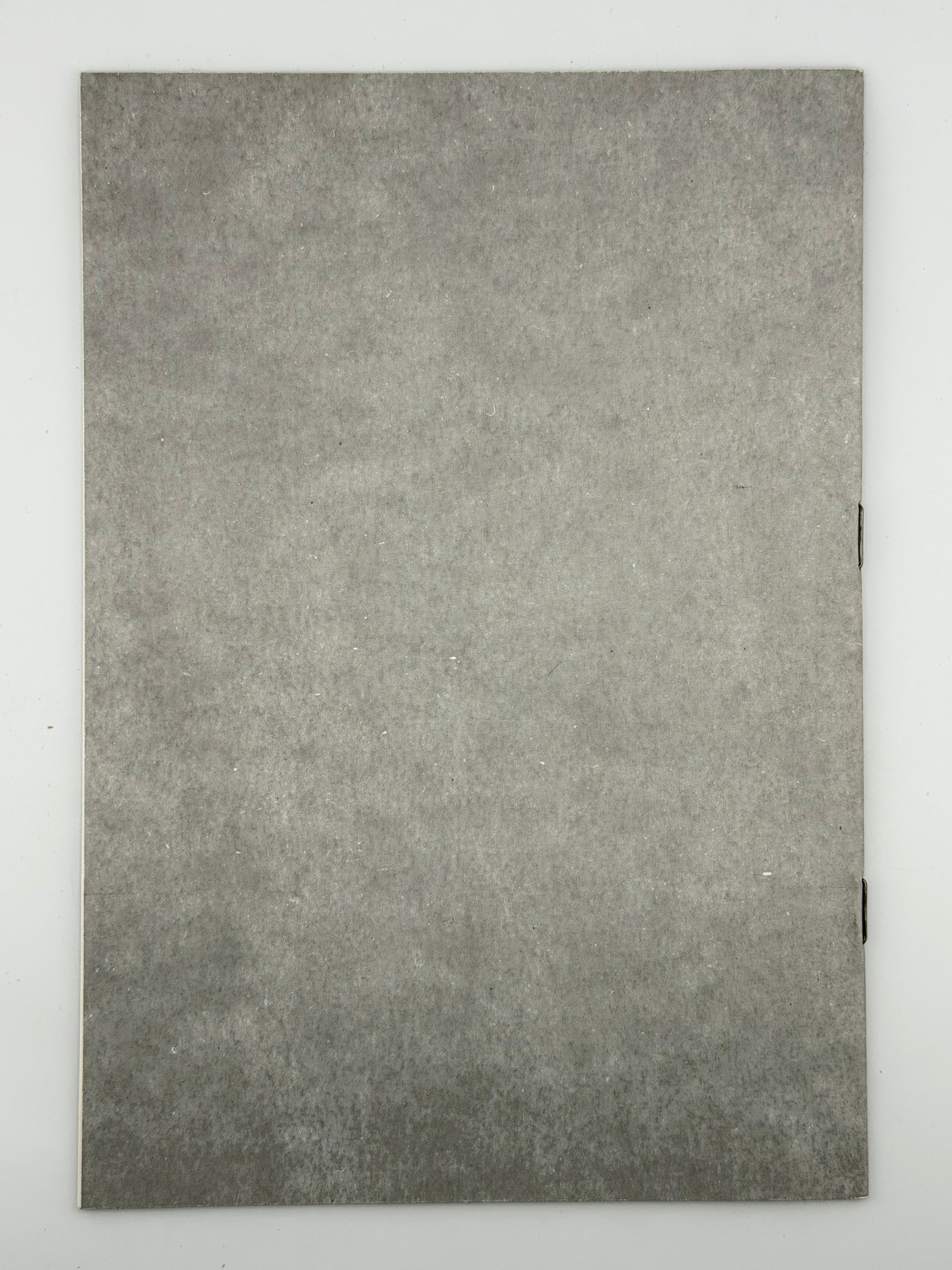 ГРАФІКА. НІЛ ХАСЕВИЧ Луцьк: Волинський обласний краєзнавчий музей. — 1992.