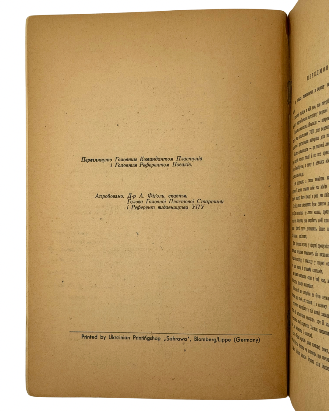 Бачинський. Перші кроки, 1949 — розворот