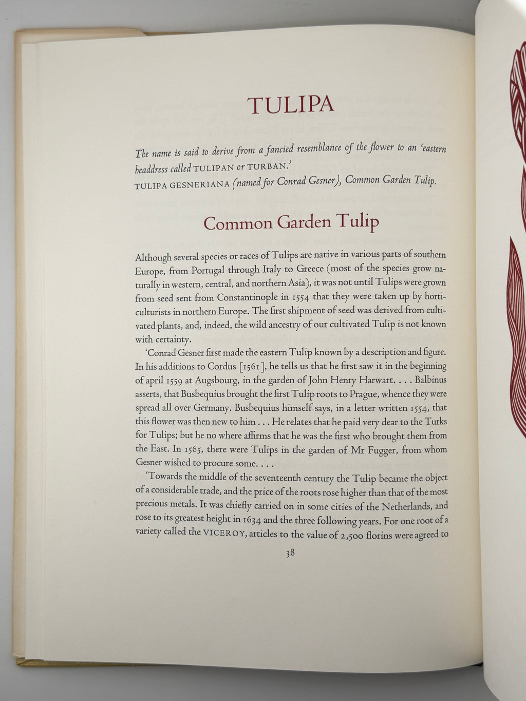 FLORA EXOTICA: A COLLECTION OF FLOWERING PLANTS. 1972
DEWOLF GORDON, HNIZDOVSKY JACQUES Бостон: David R. Godine. — 64 с.