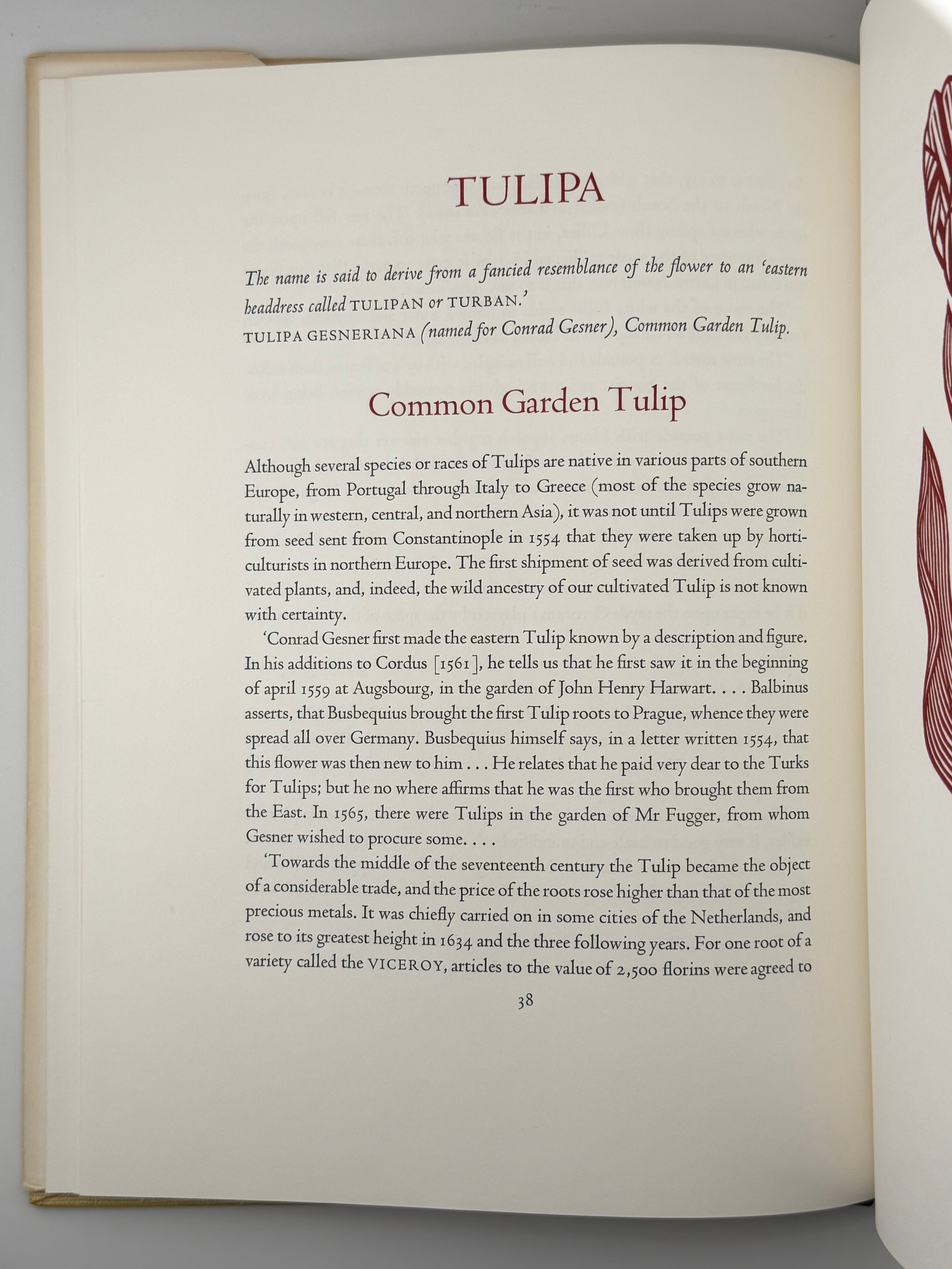 FLORA EXOTICA: A COLLECTION OF FLOWERING PLANTS. 1972
DEWOLF GORDON, HNIZDOVSKY JACQUES Бостон: David R. Godine. — 64 с.