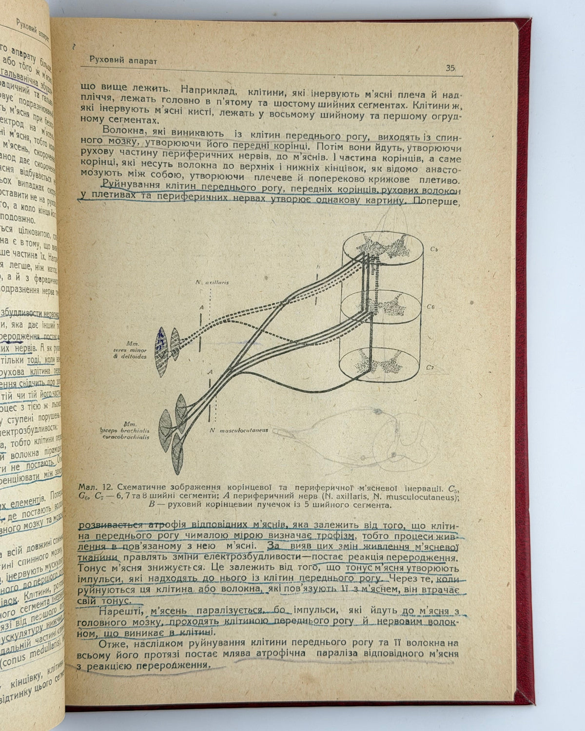 Ґрінштейн О. М. Нервові хороби. [Харків]: Медвидав, 1932 — фото примірника