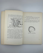 Слава не поляже: Козаччина. Кн. 3. [Канада], 1961