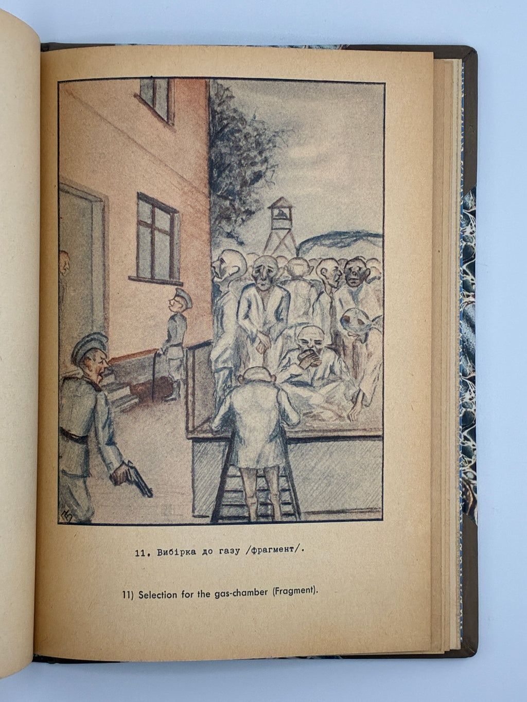 ОСИНКА ПАЛАДІЙ. АЛЬБУМ ПОЛІТВ’ЯЗНЯ [АУШВІЦ]. 1946