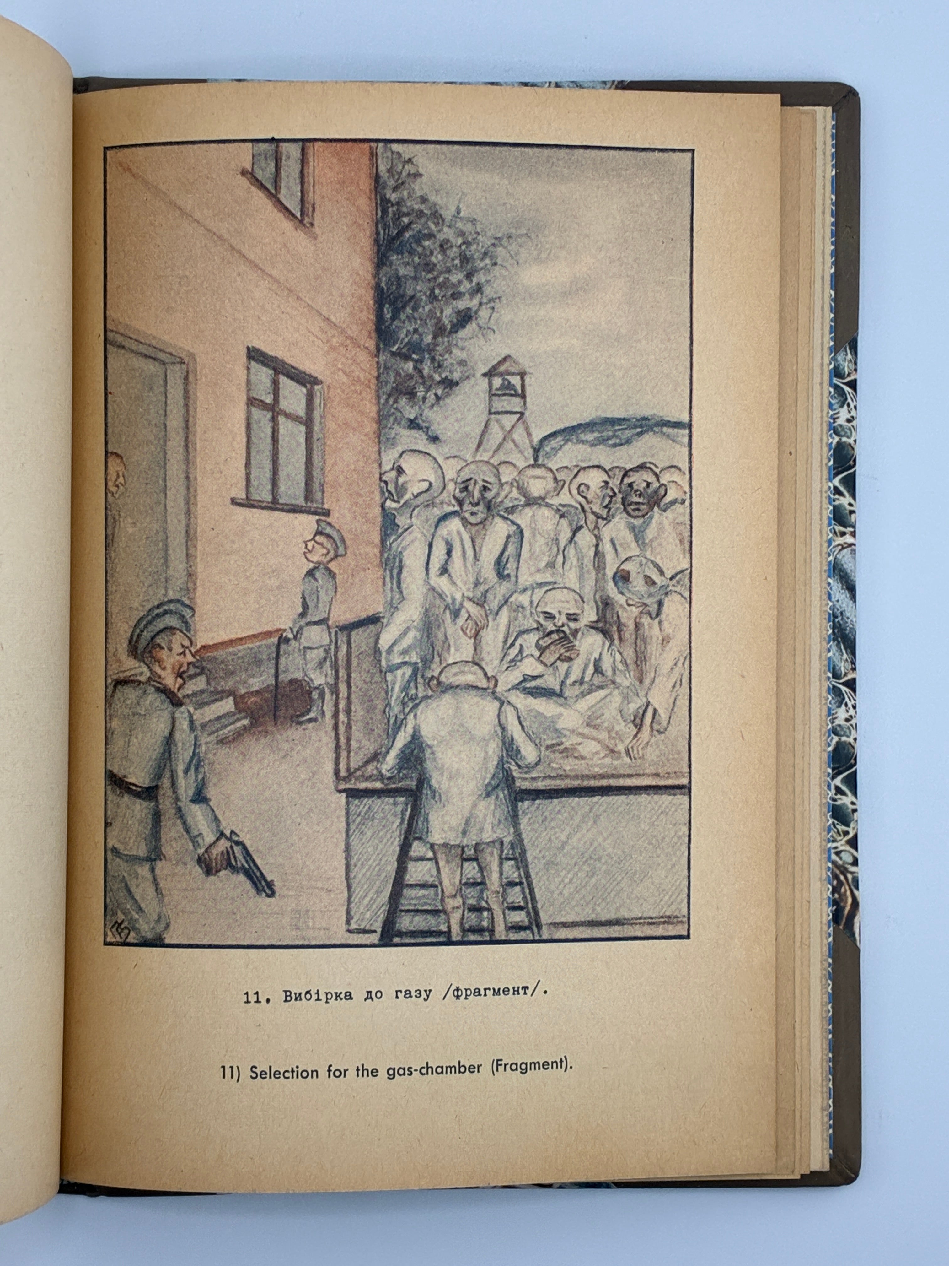 ОСИНКА ПАЛАДІЙ. АЛЬБУМ ПОЛІТВ’ЯЗНЯ [АУШВІЦ]. 1946