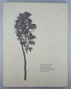 Гніздовський Яків. Woodcuts and Etchings. Ґретна, 1987