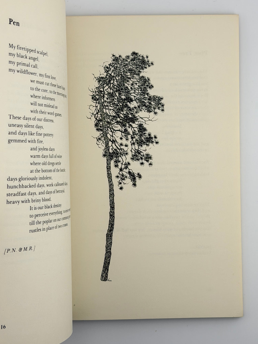 ORCHARD LAMPS. 1978
ДРАЧ ІВАН