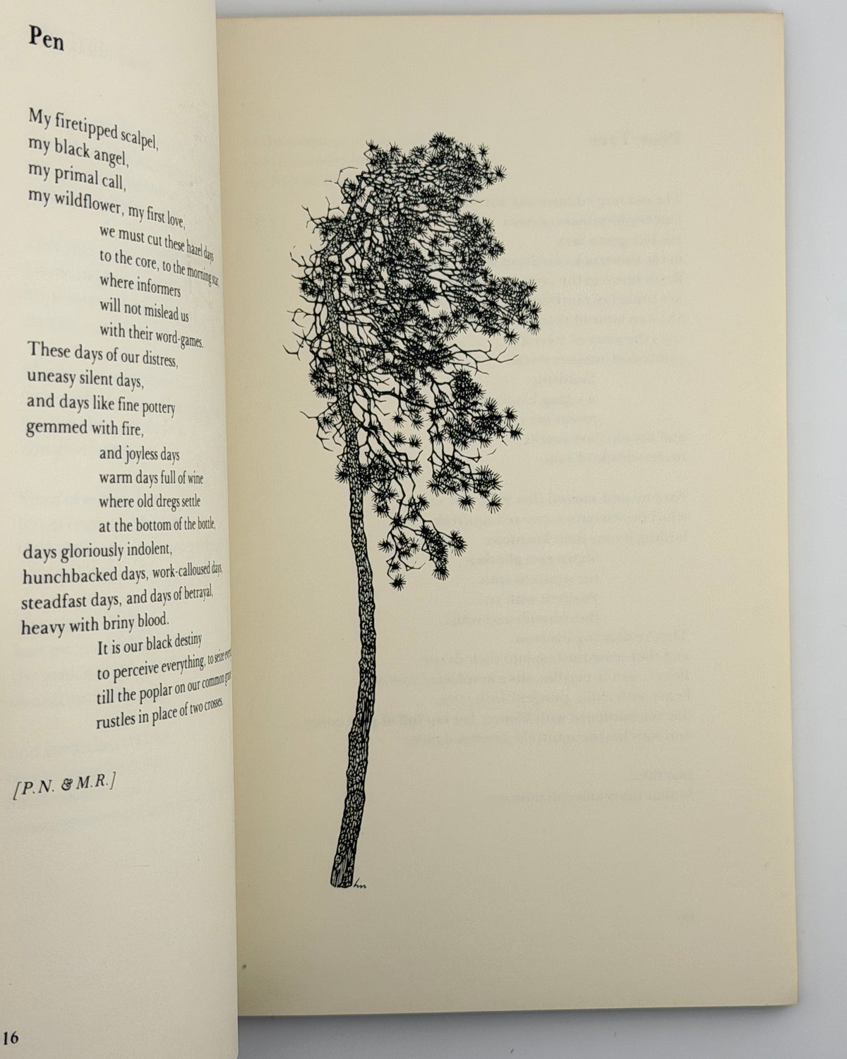 Драч Іван. Orchard Lamps. Нью-Йорк, 1978