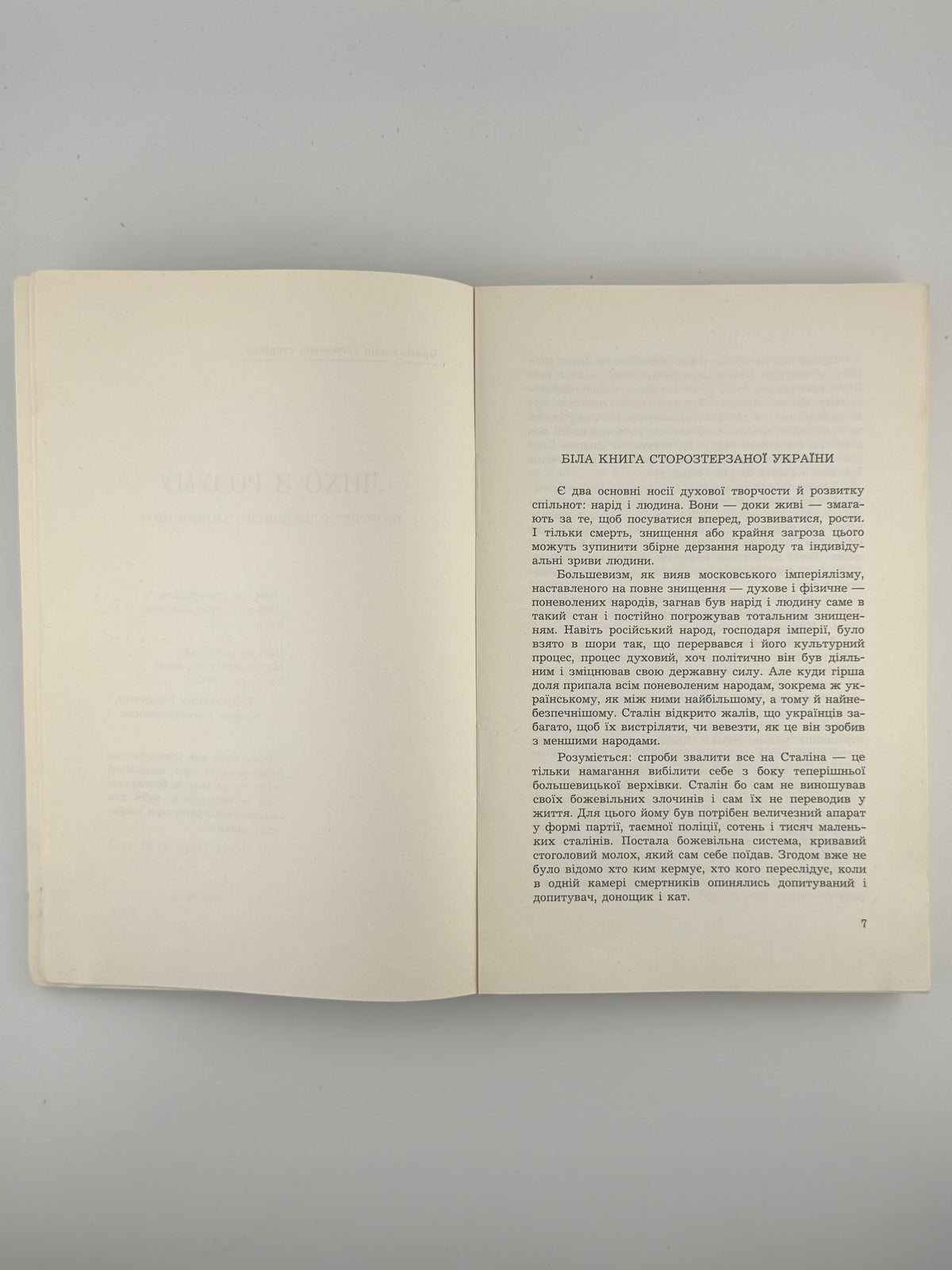Чорновіл В'ячеслав (упоряд.). Лихо з розуму: портрети двадцяти «злочинців». Париж, 1967