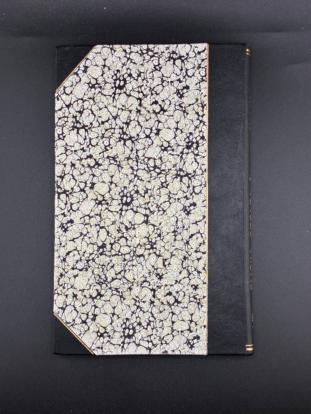 Руска справа в роках 1891–1894. НТШ, 1895