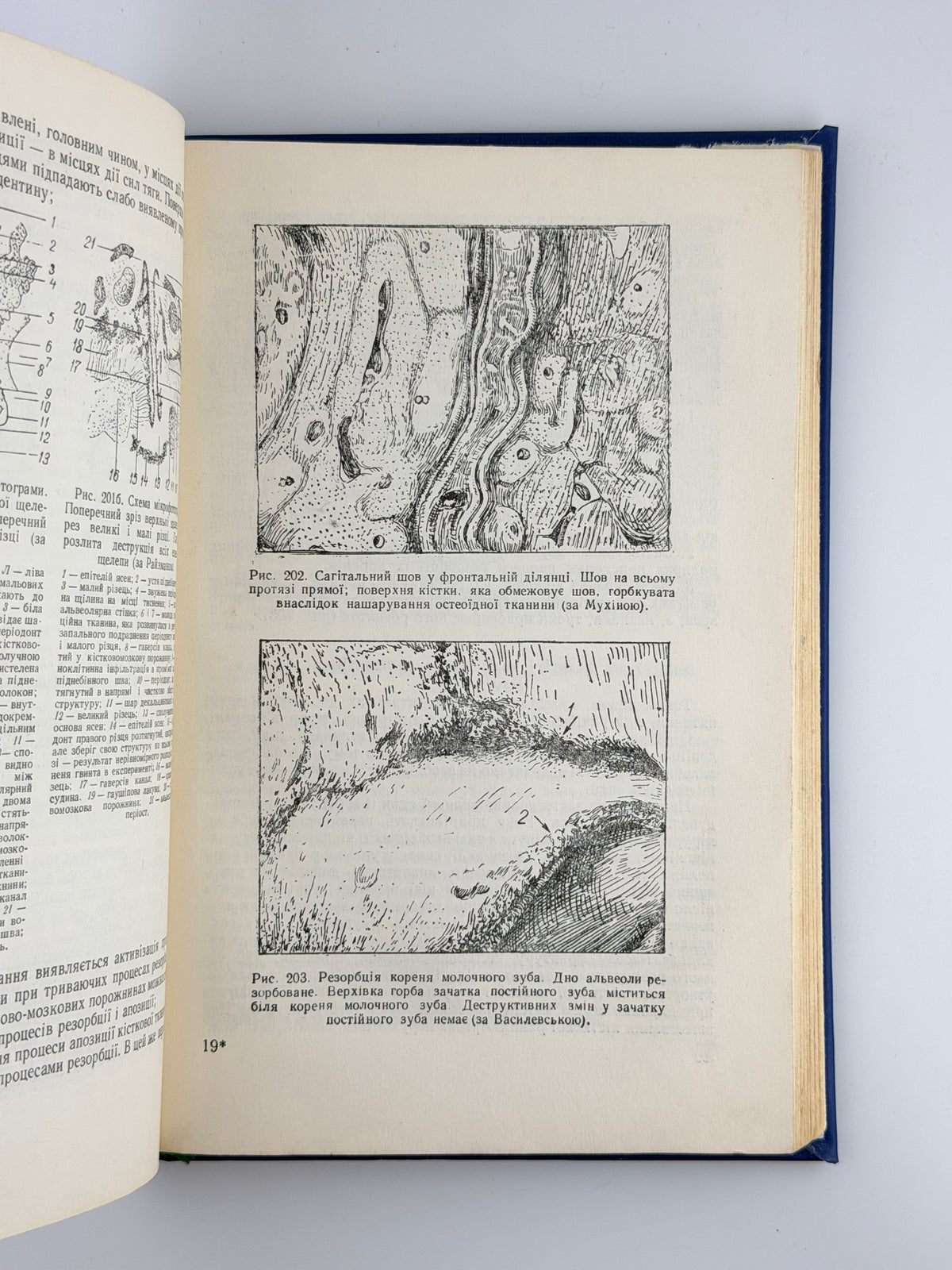 Бетельман Абрам. Ортопедична стоматологія. Київ, 1960