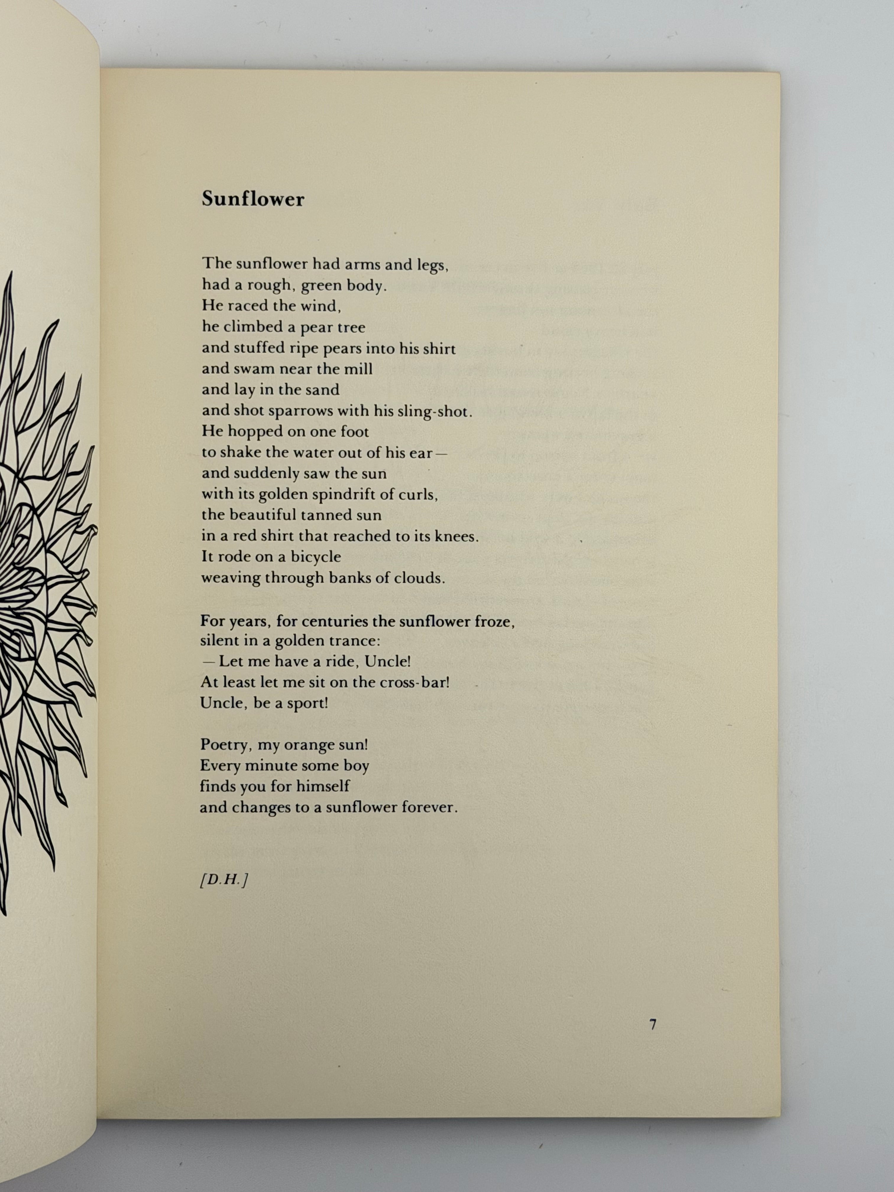 ORCHARD LAMPS. 1978
ДРАЧ ІВАН